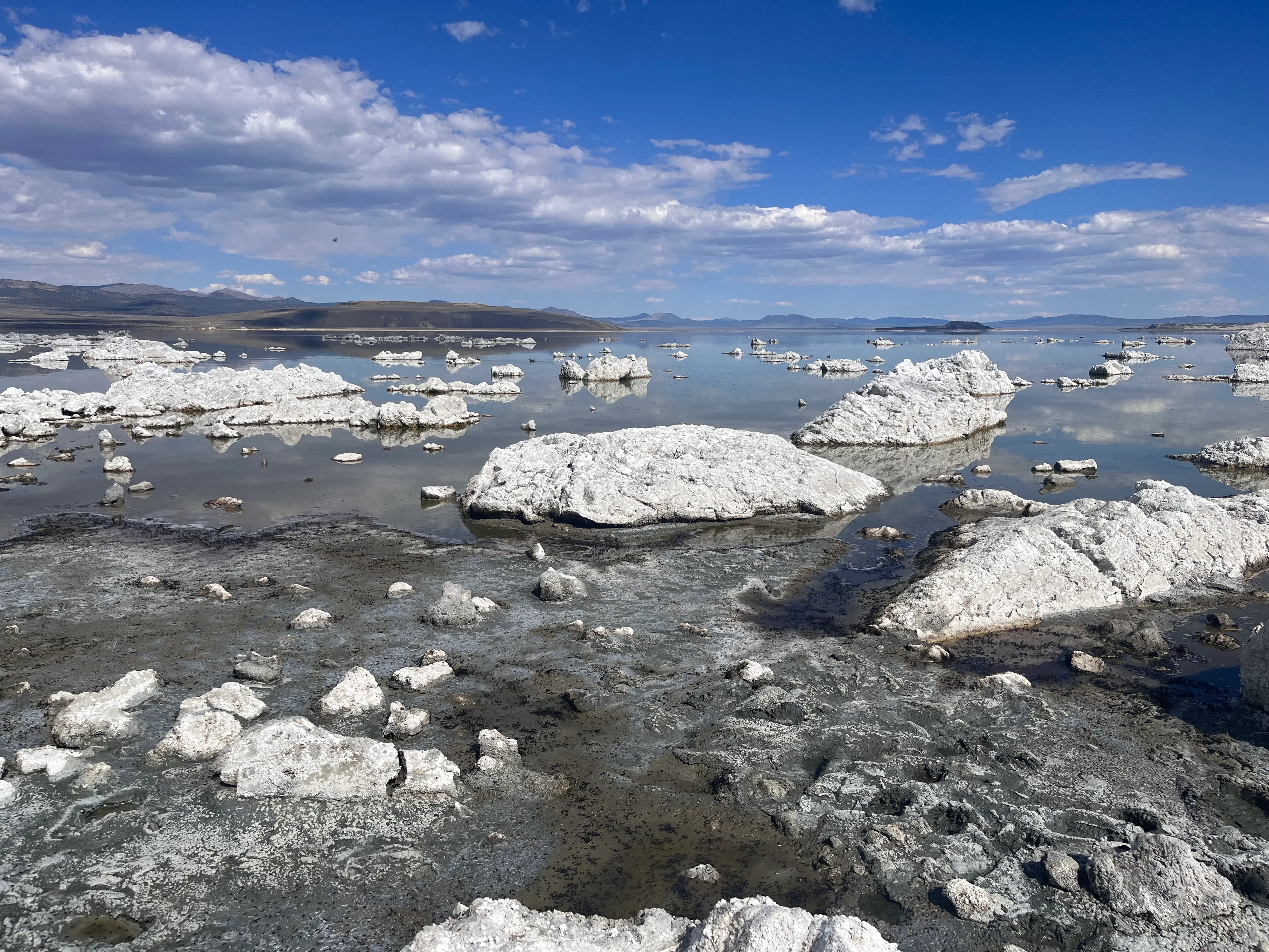 Mono Lake Boardwalk