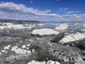 Mono Lake Boardwalk