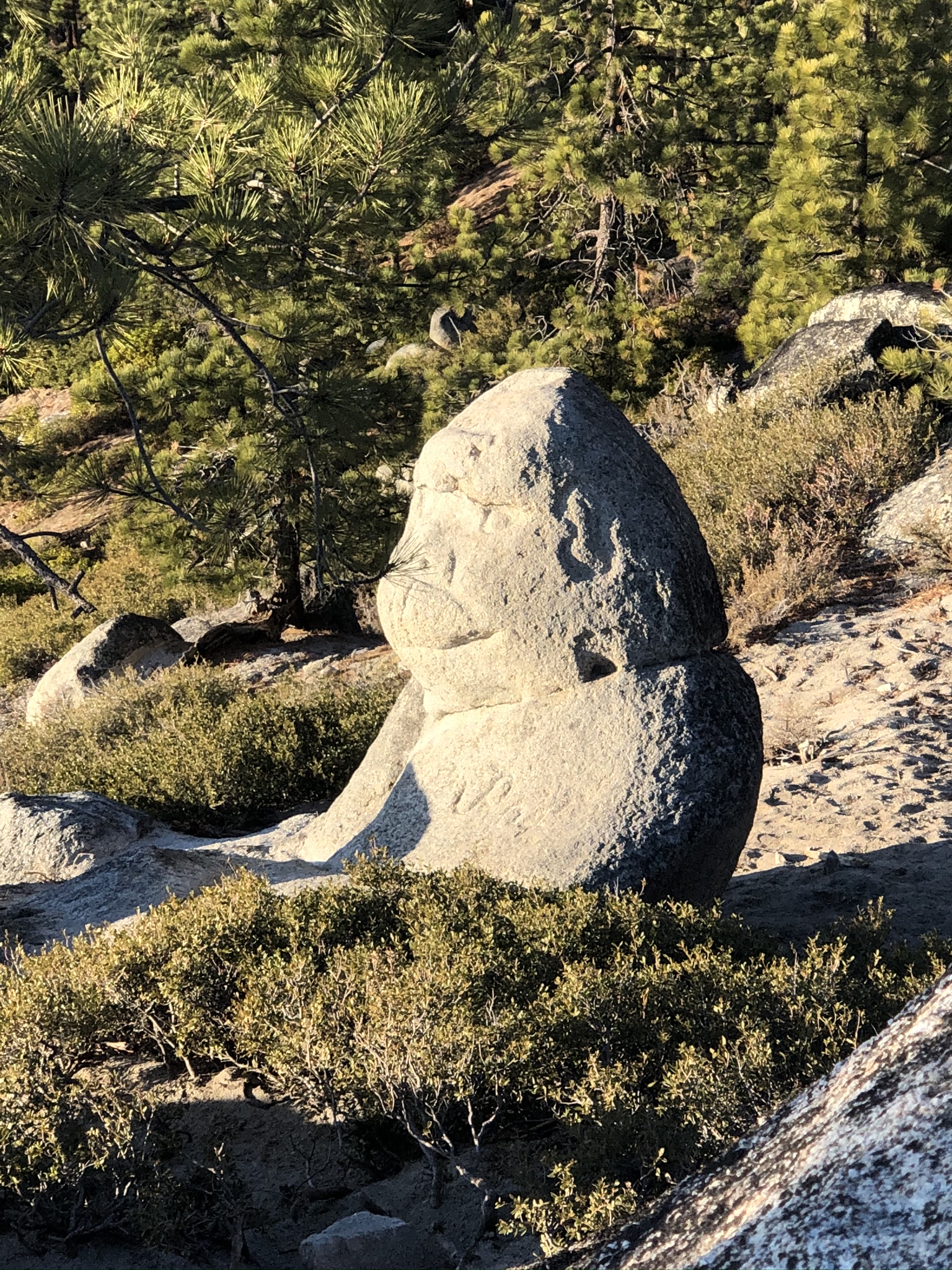 Monkey Rock