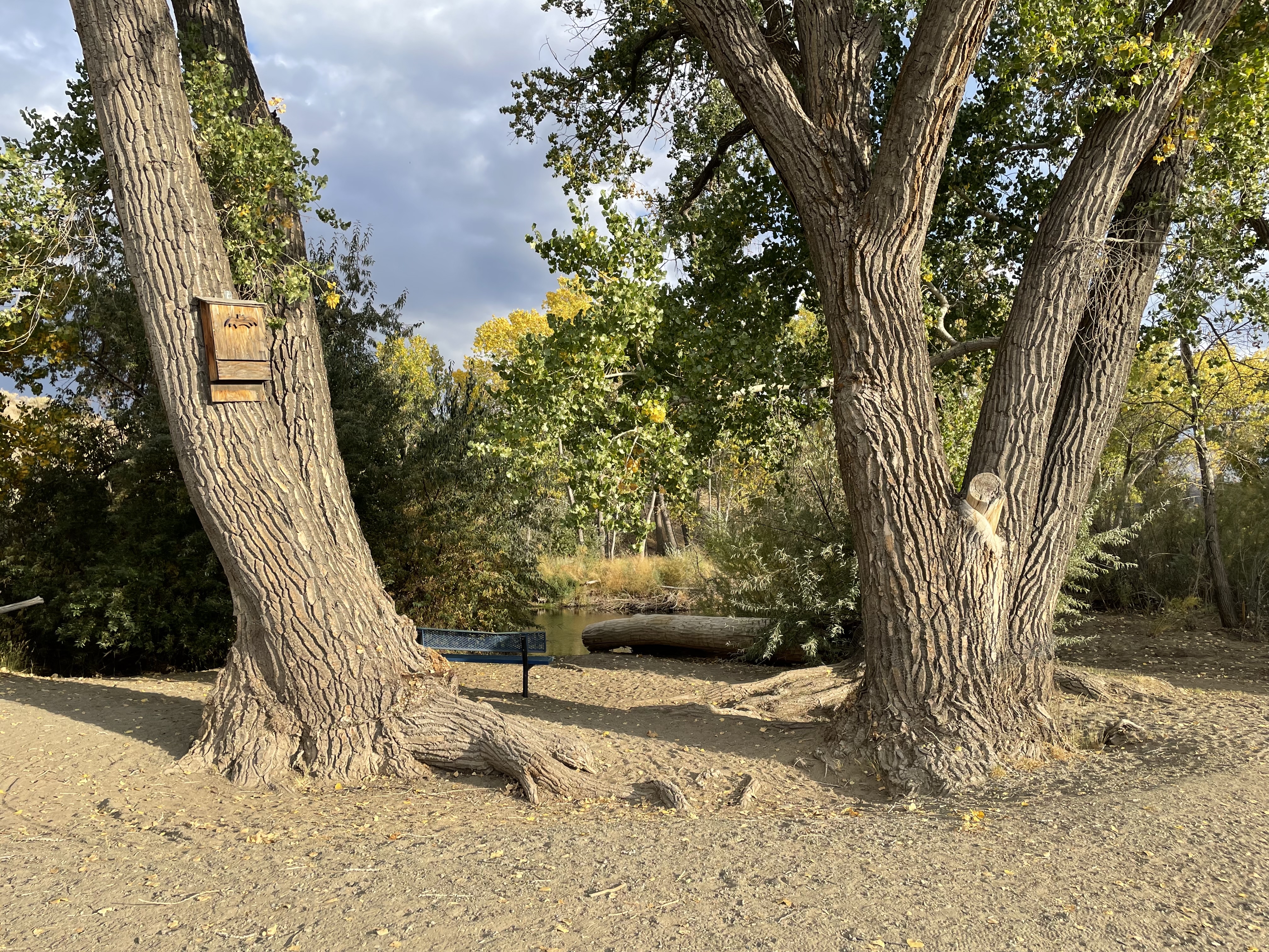 Riverview Park Loop