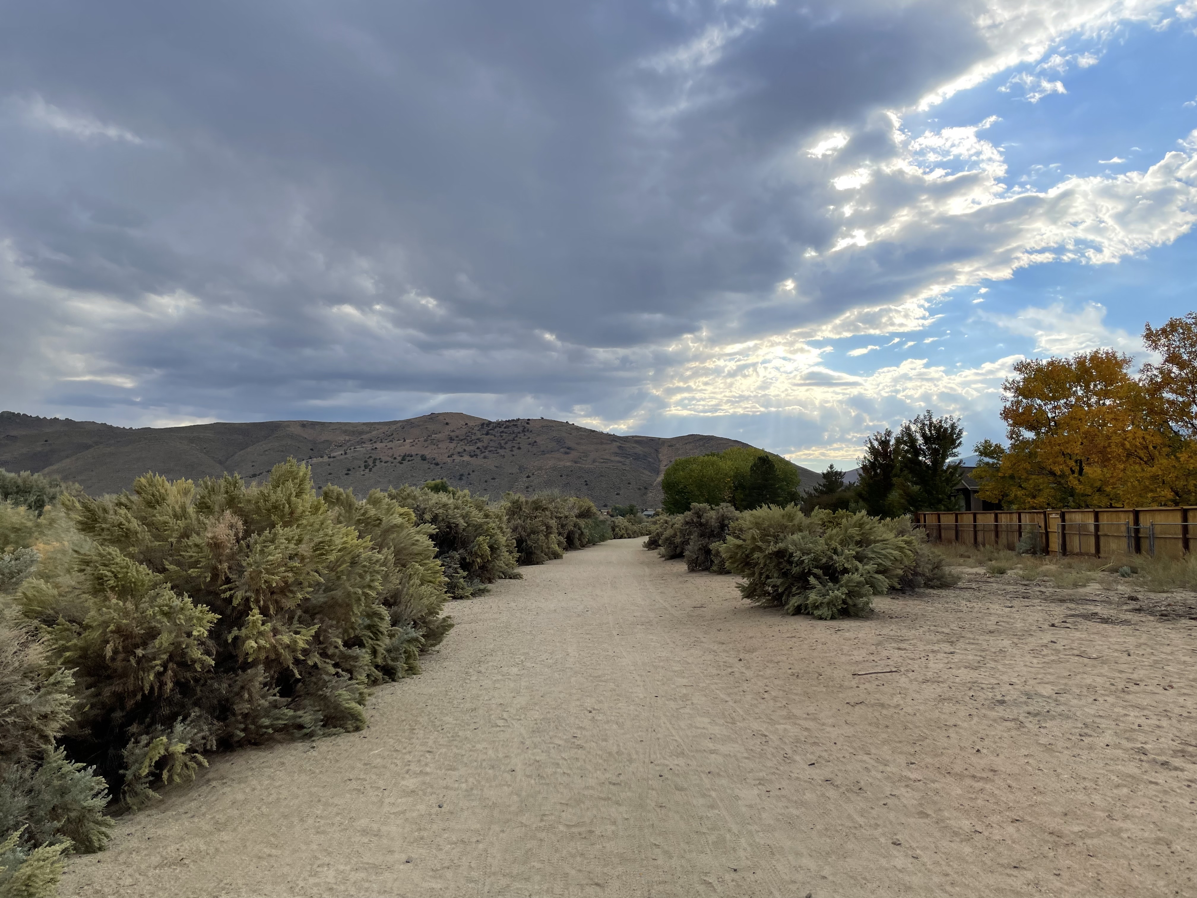Riverview Park Loop