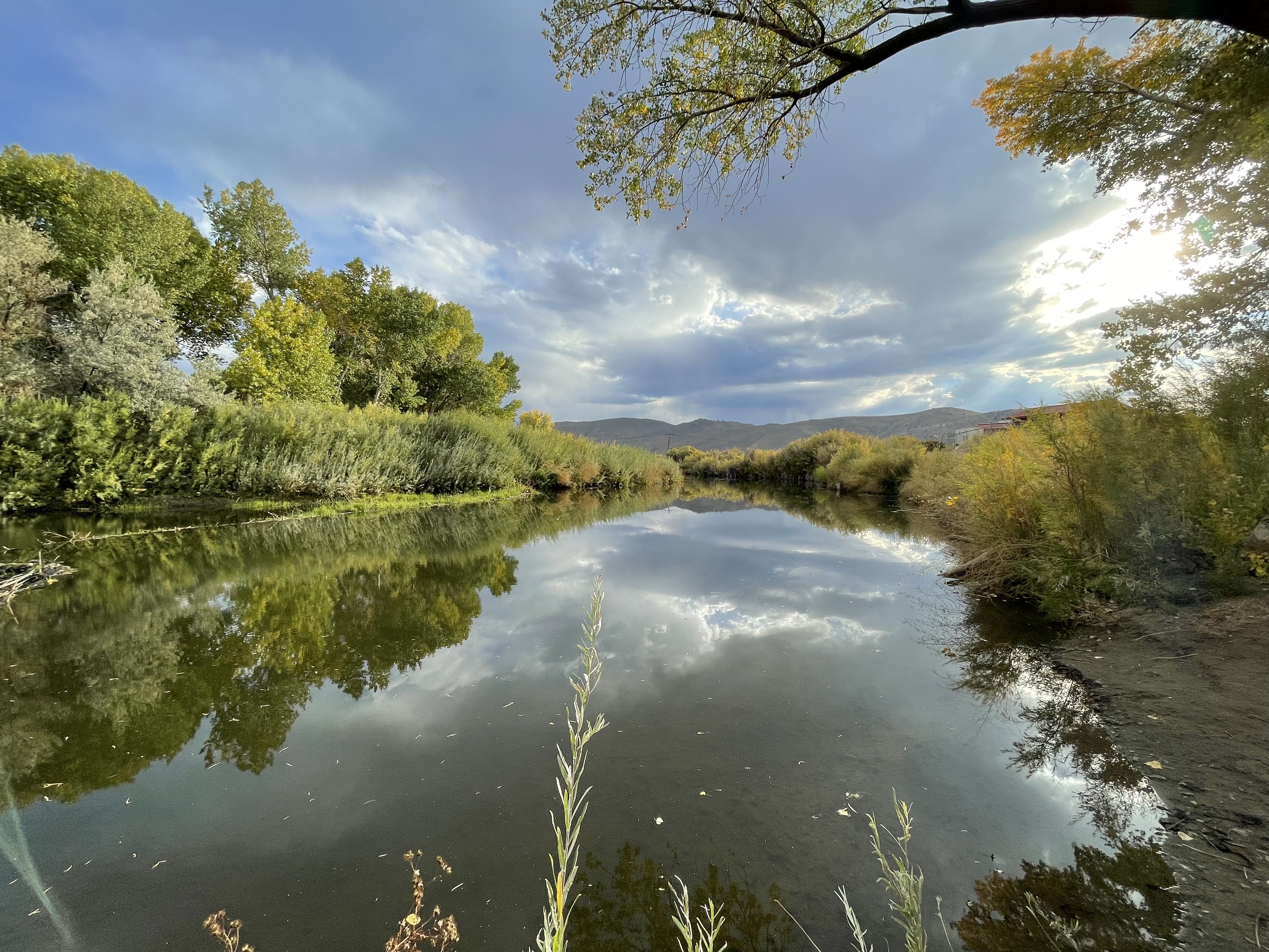 Riverview Park Loop