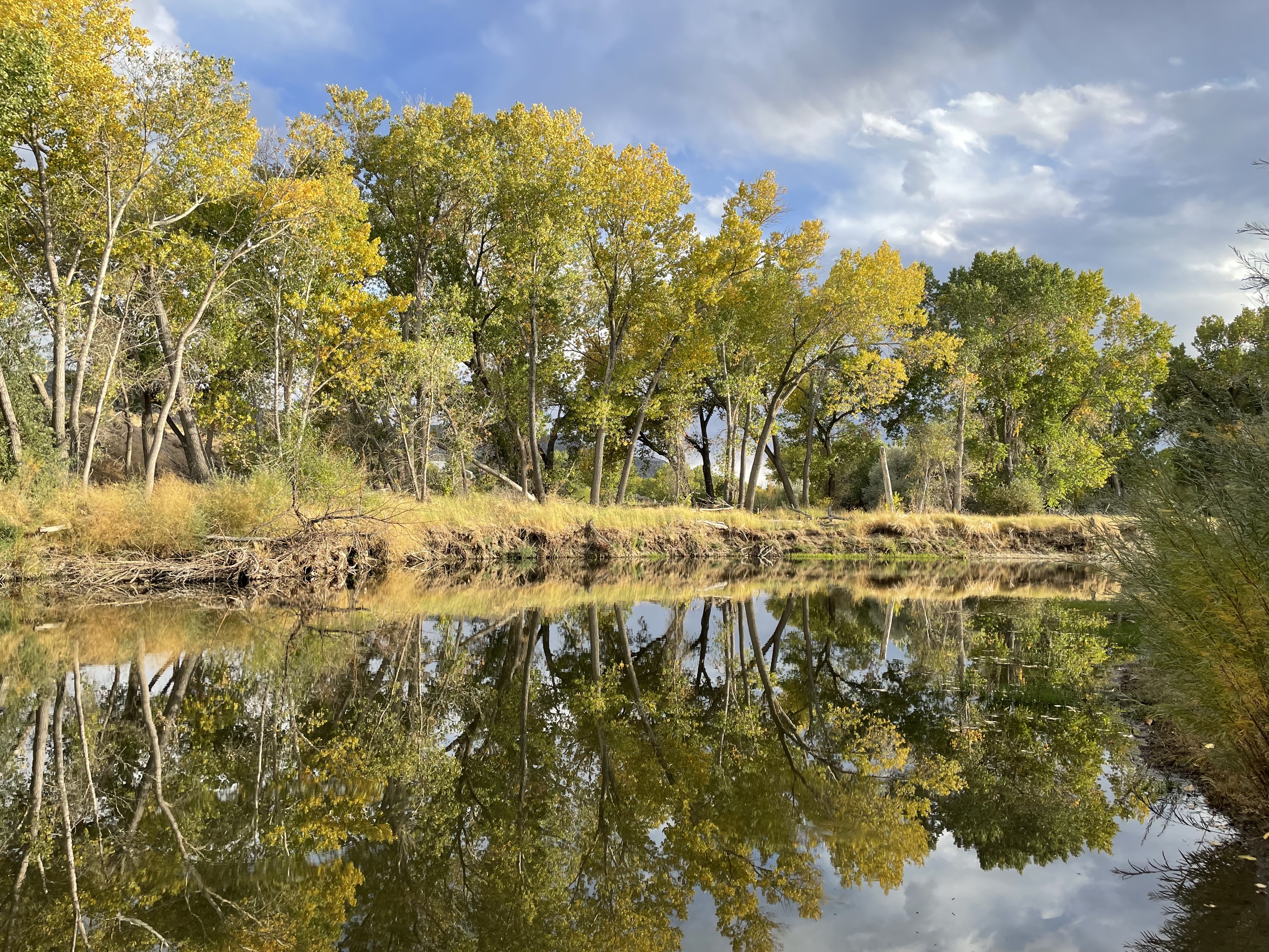 Riverview Park Loop