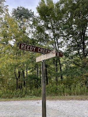 Loblolly and Reedy Creek Trail Loop