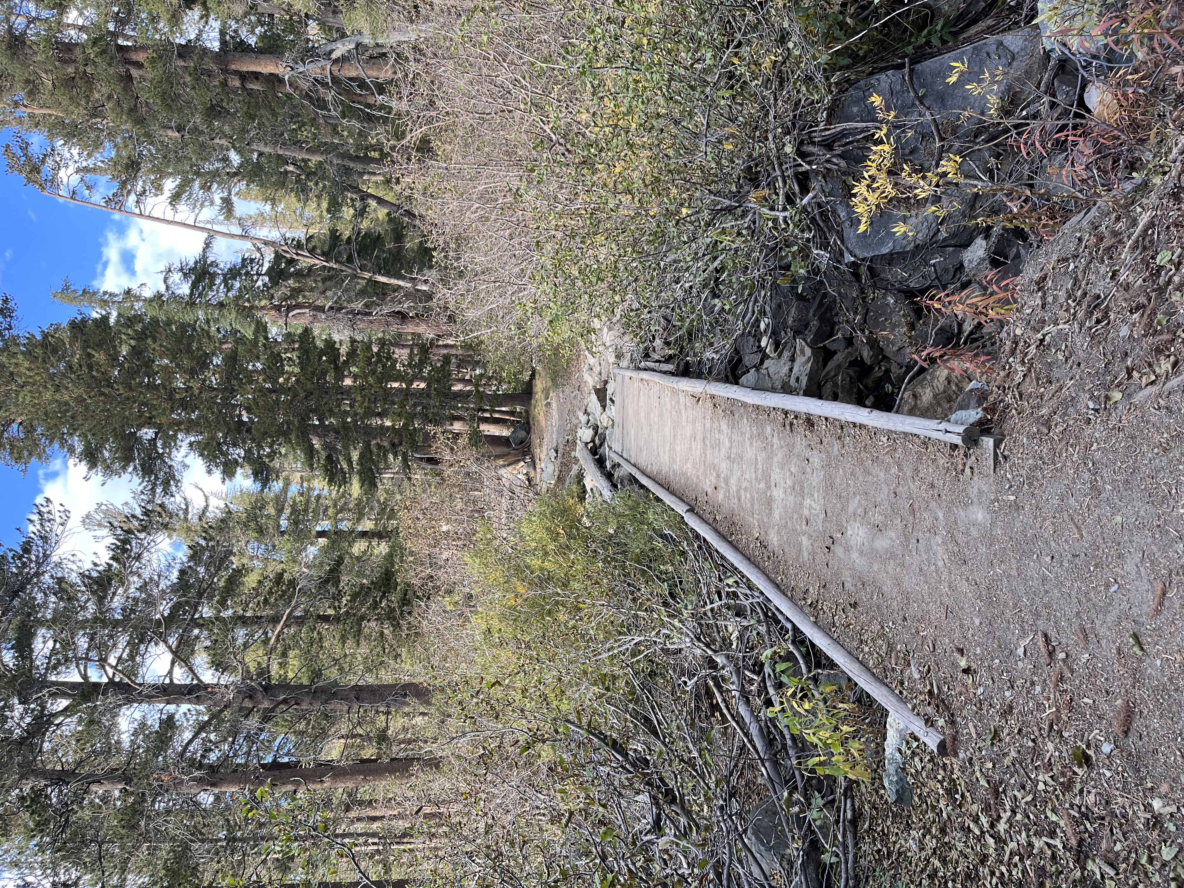 Lake George Trail