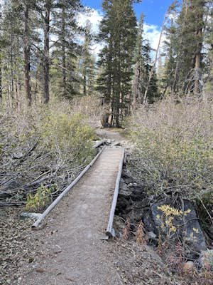 Lake George Trail