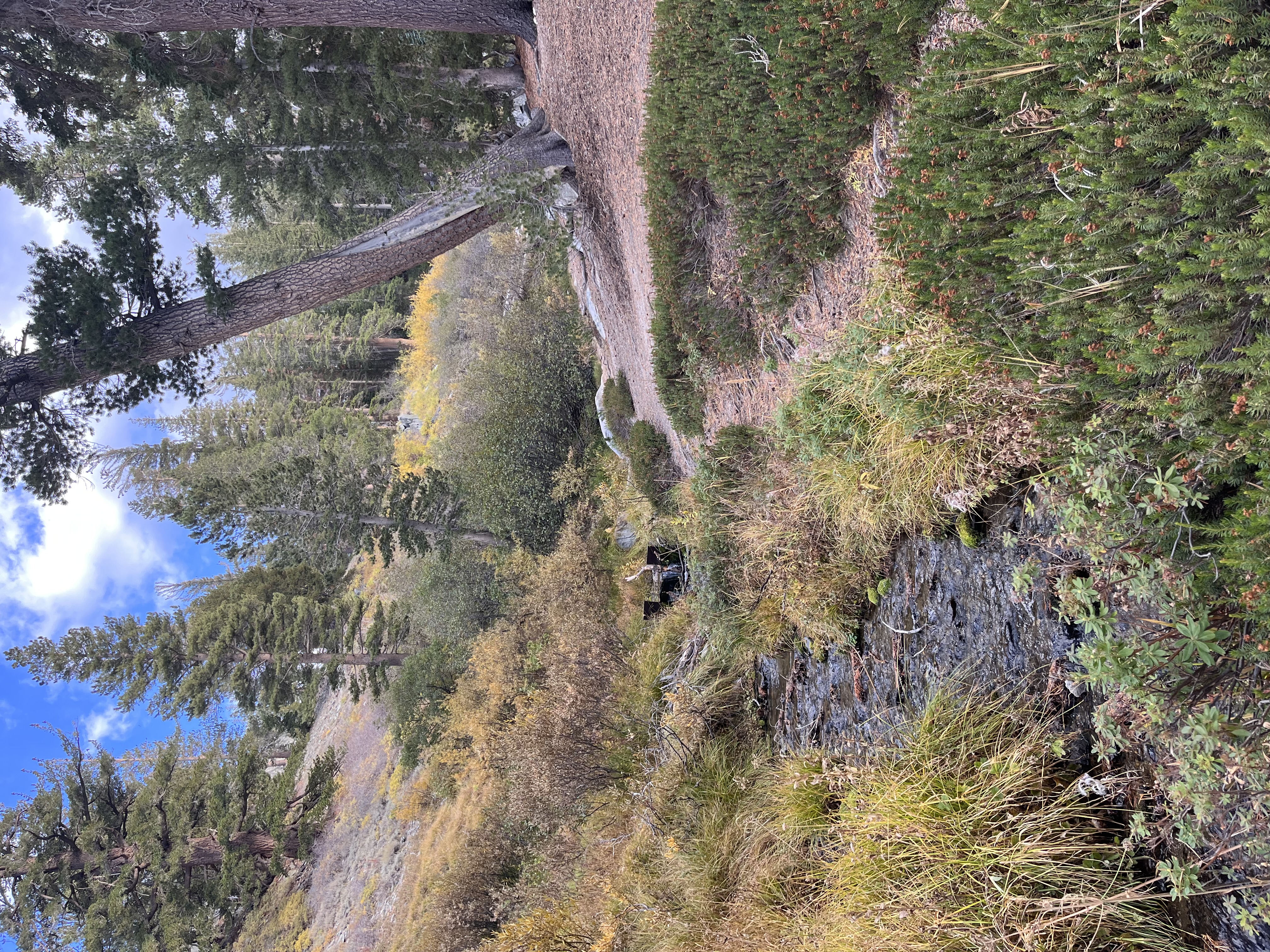 Lake George Trail