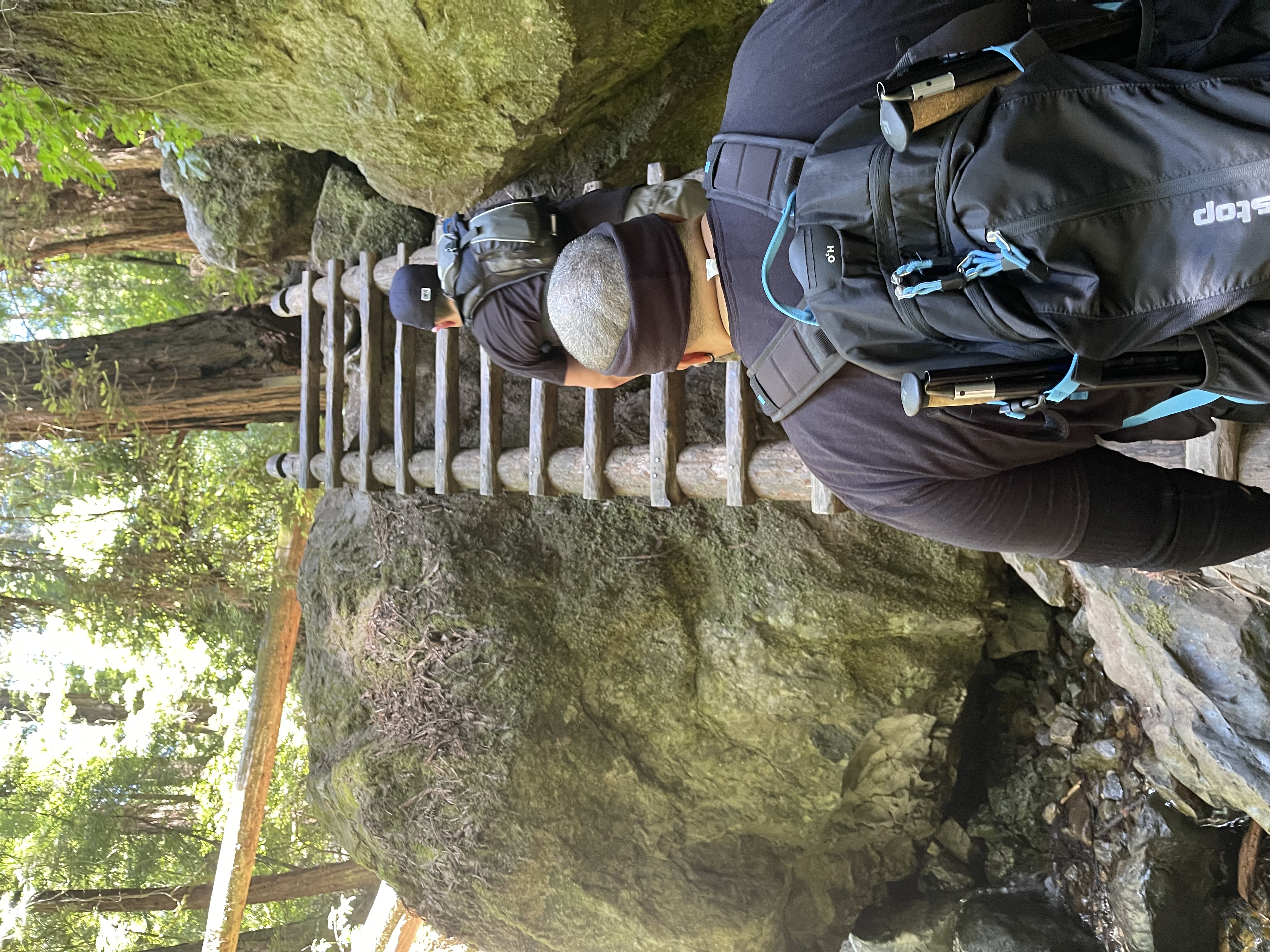Steep Ravine Trail via Pantoll Station