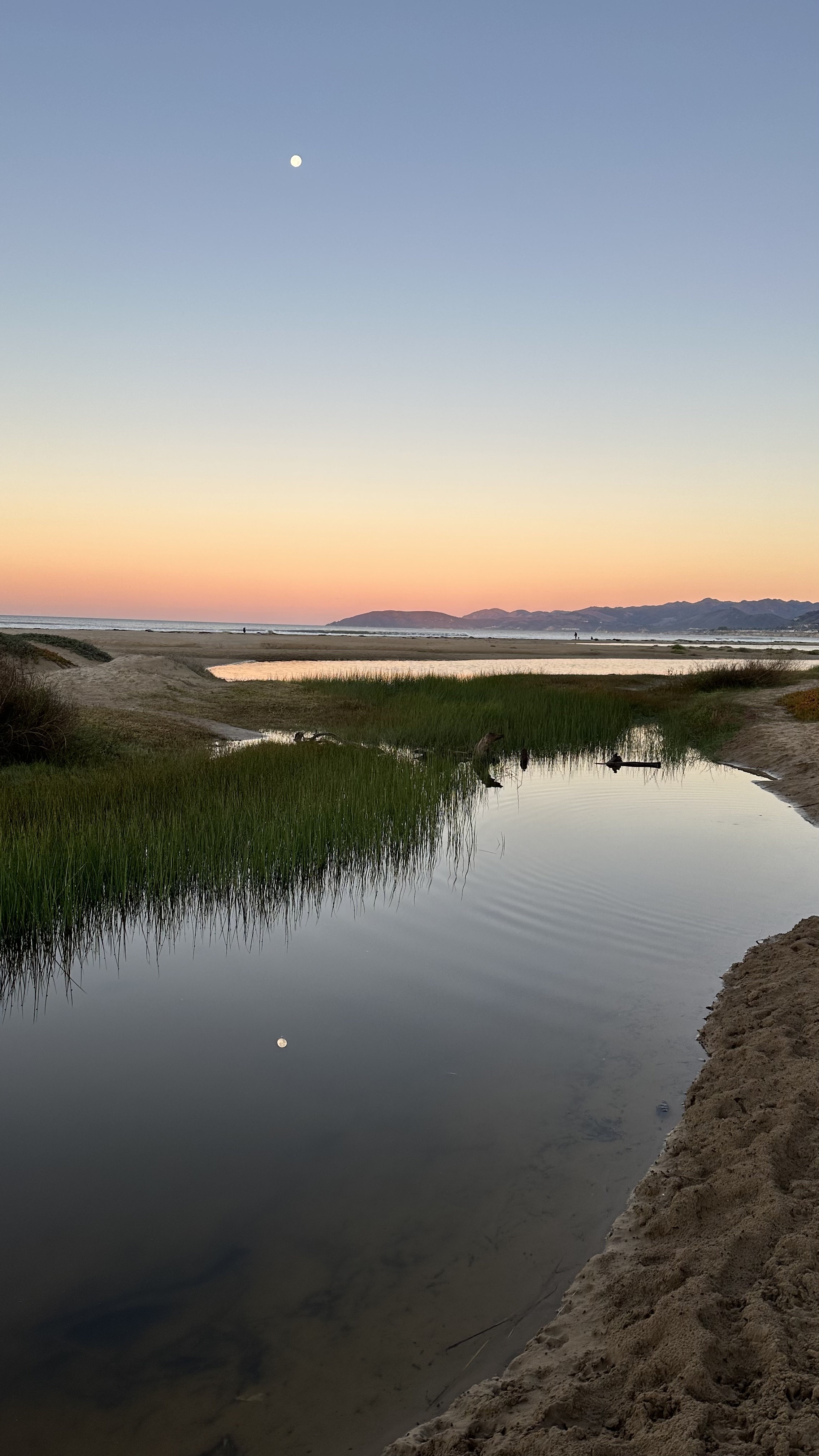 Camp at Pismo State Beach