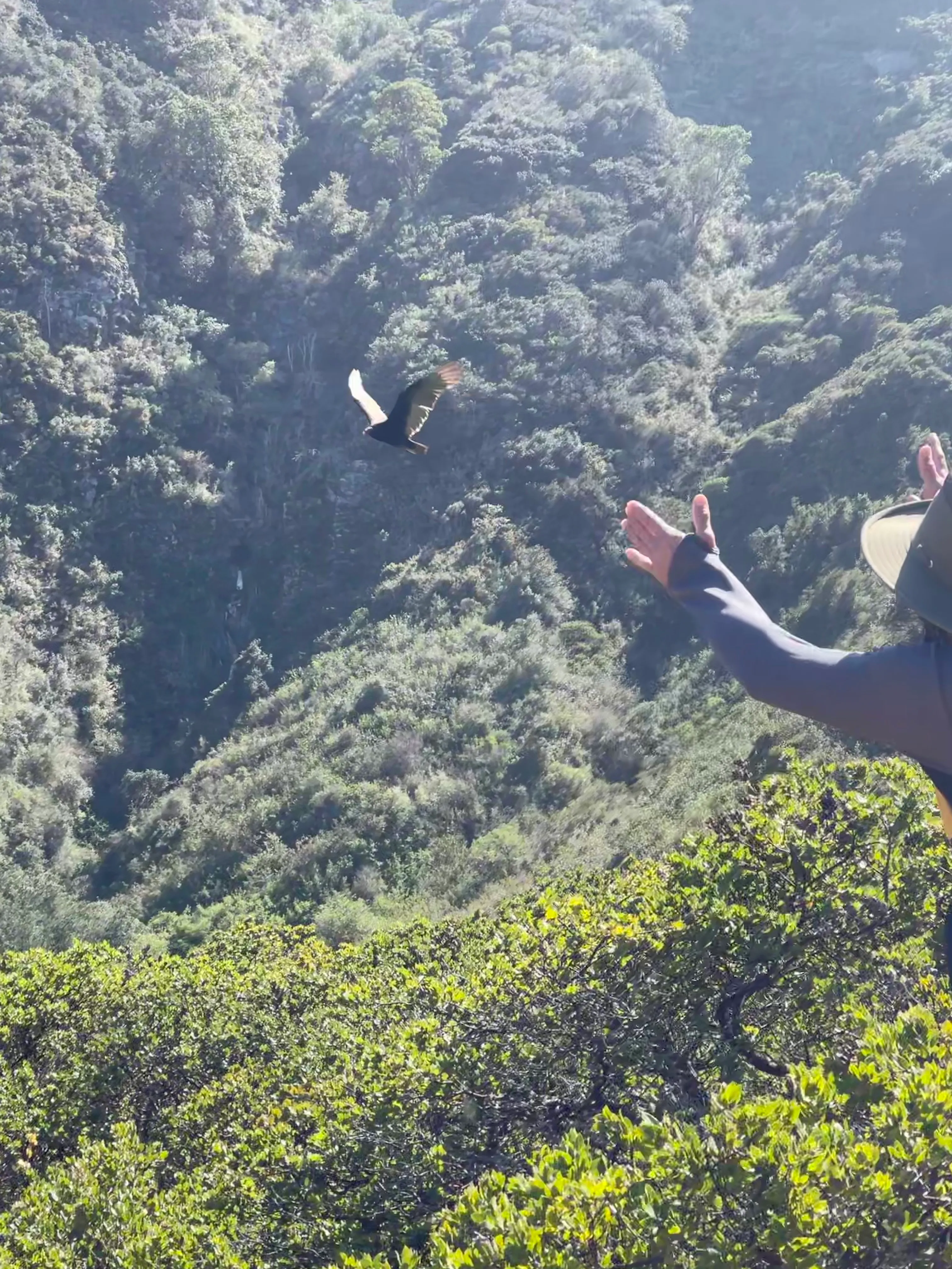 Montara Mountain Trail