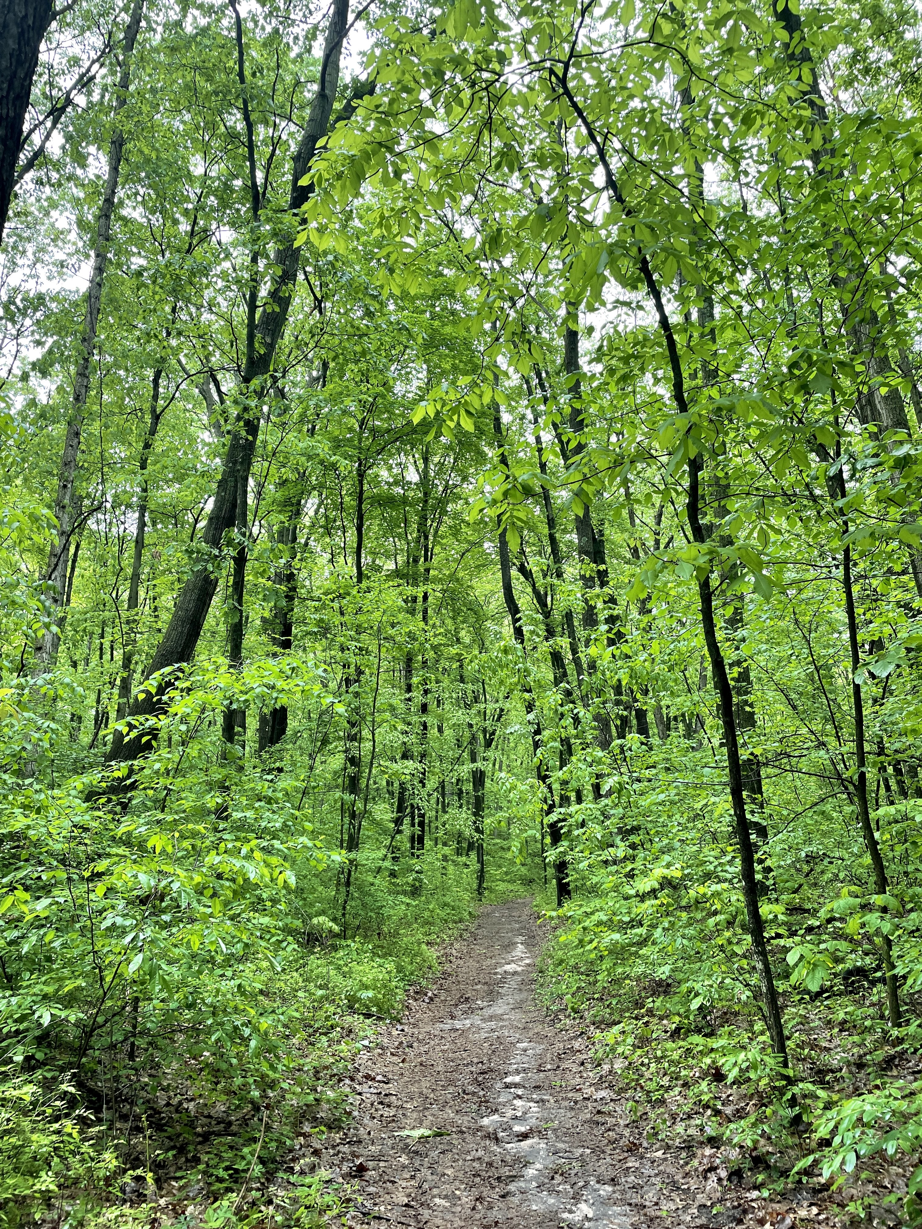Cascade Peace Park Trail