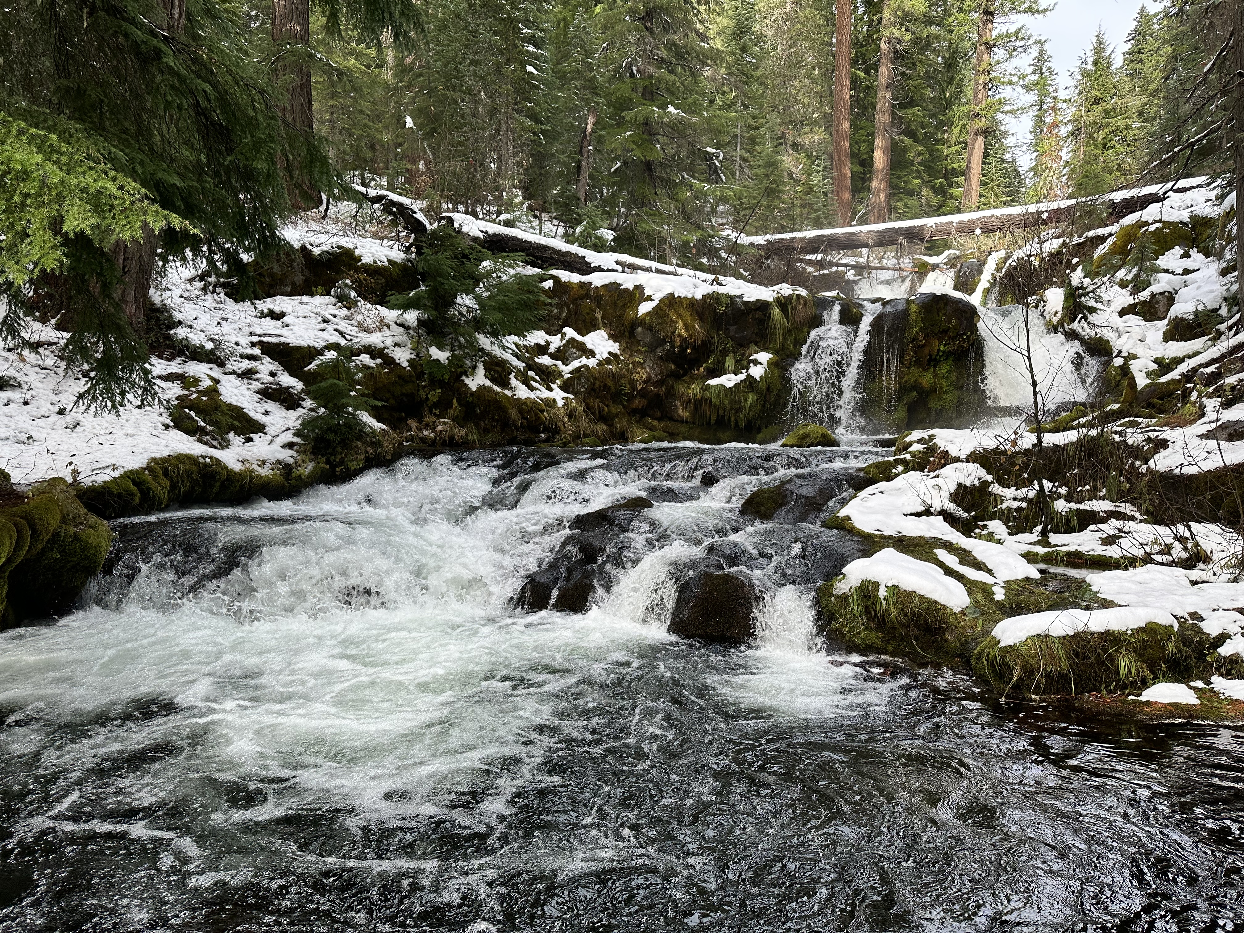 Muir Creek Falls