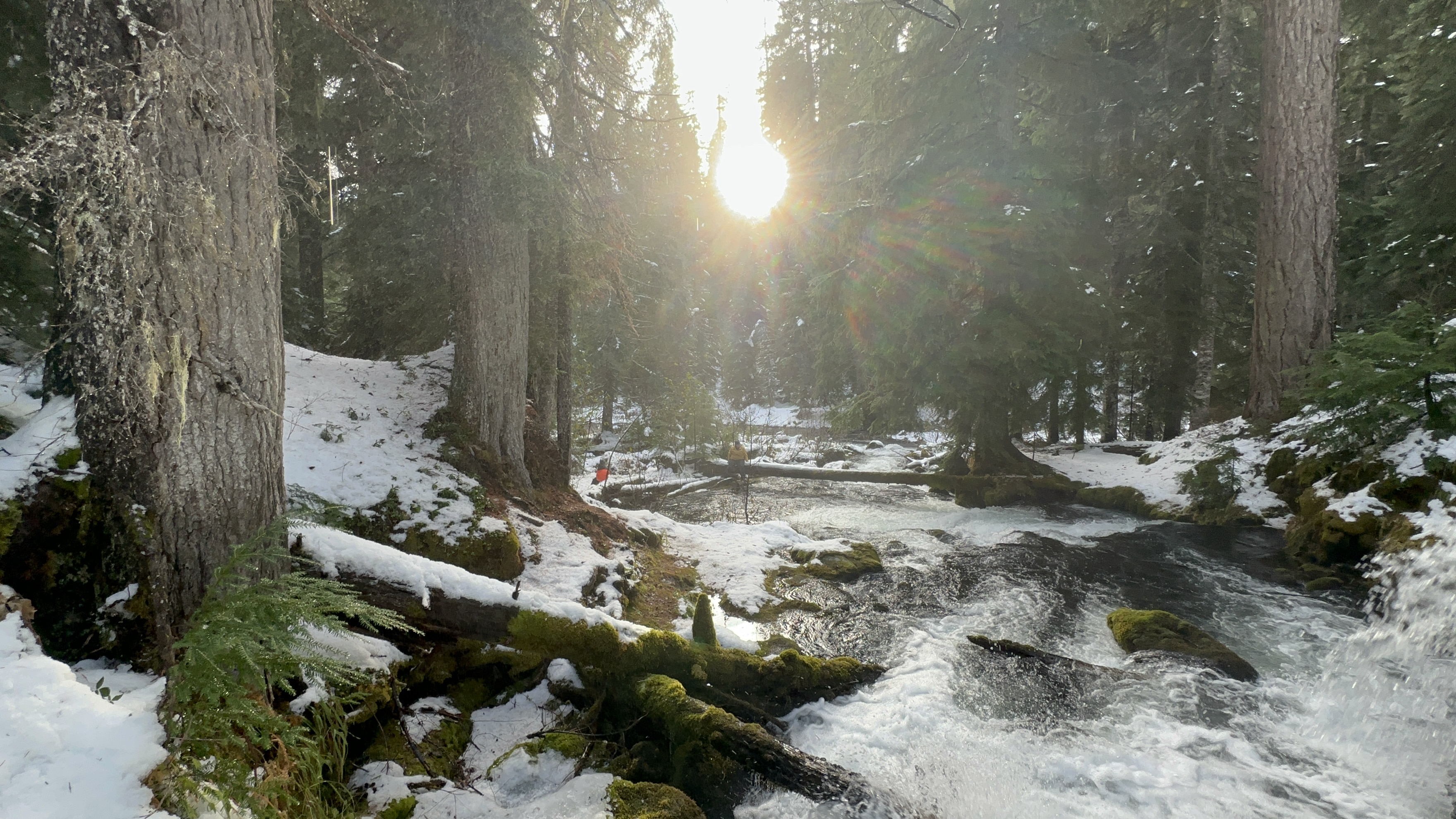 Muir Creek Falls