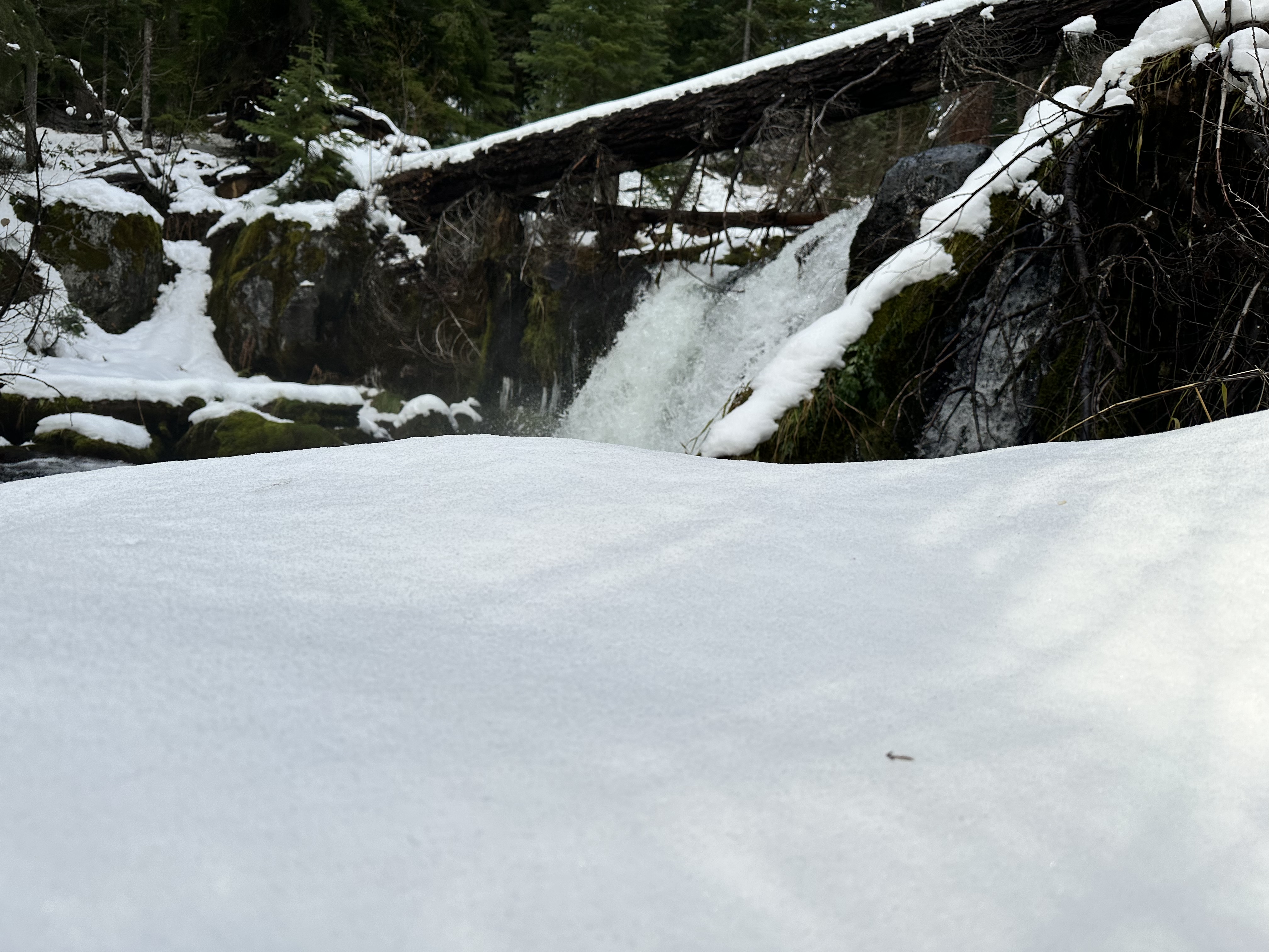 Muir Creek Falls