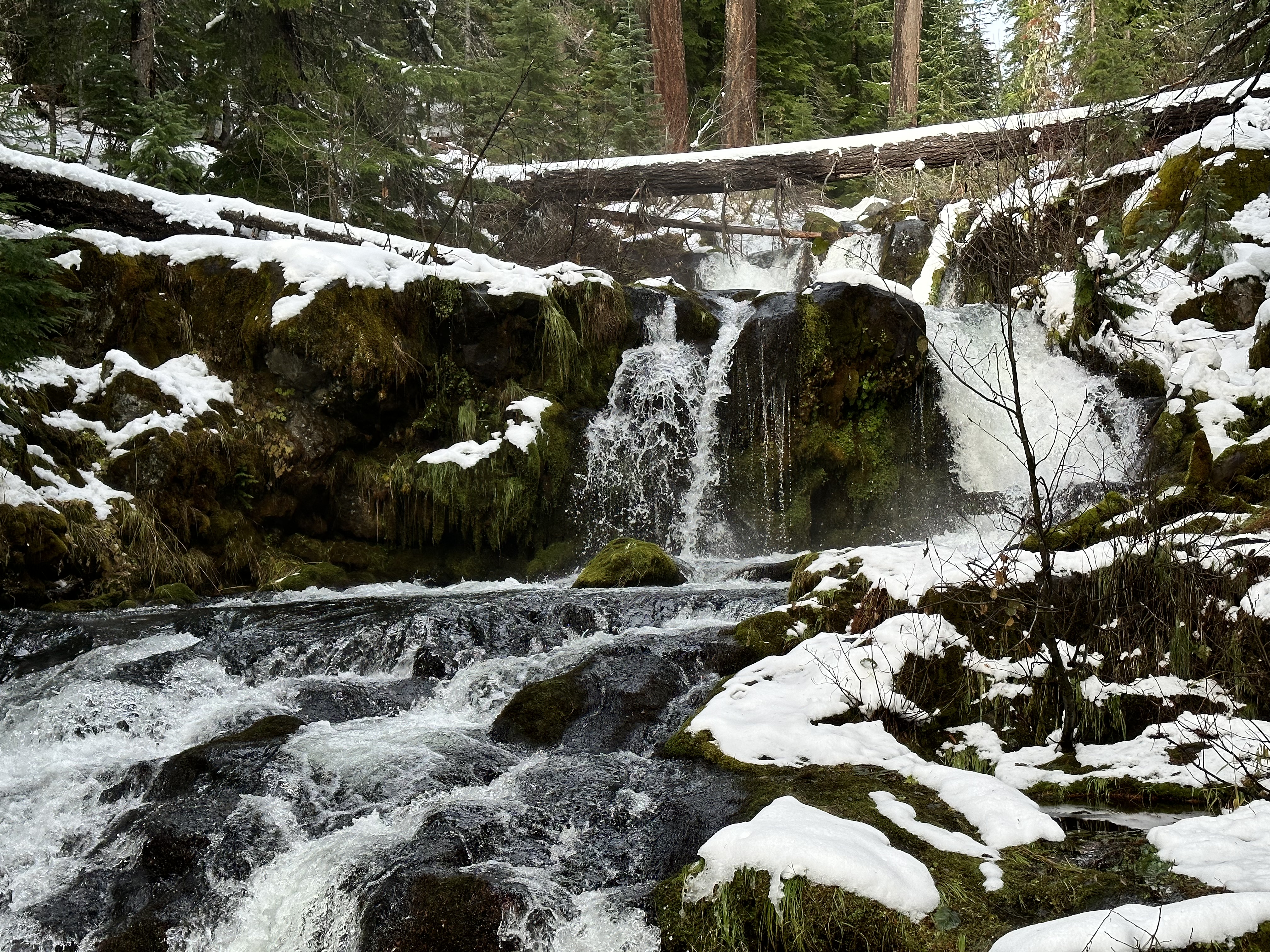 Muir Creek Falls