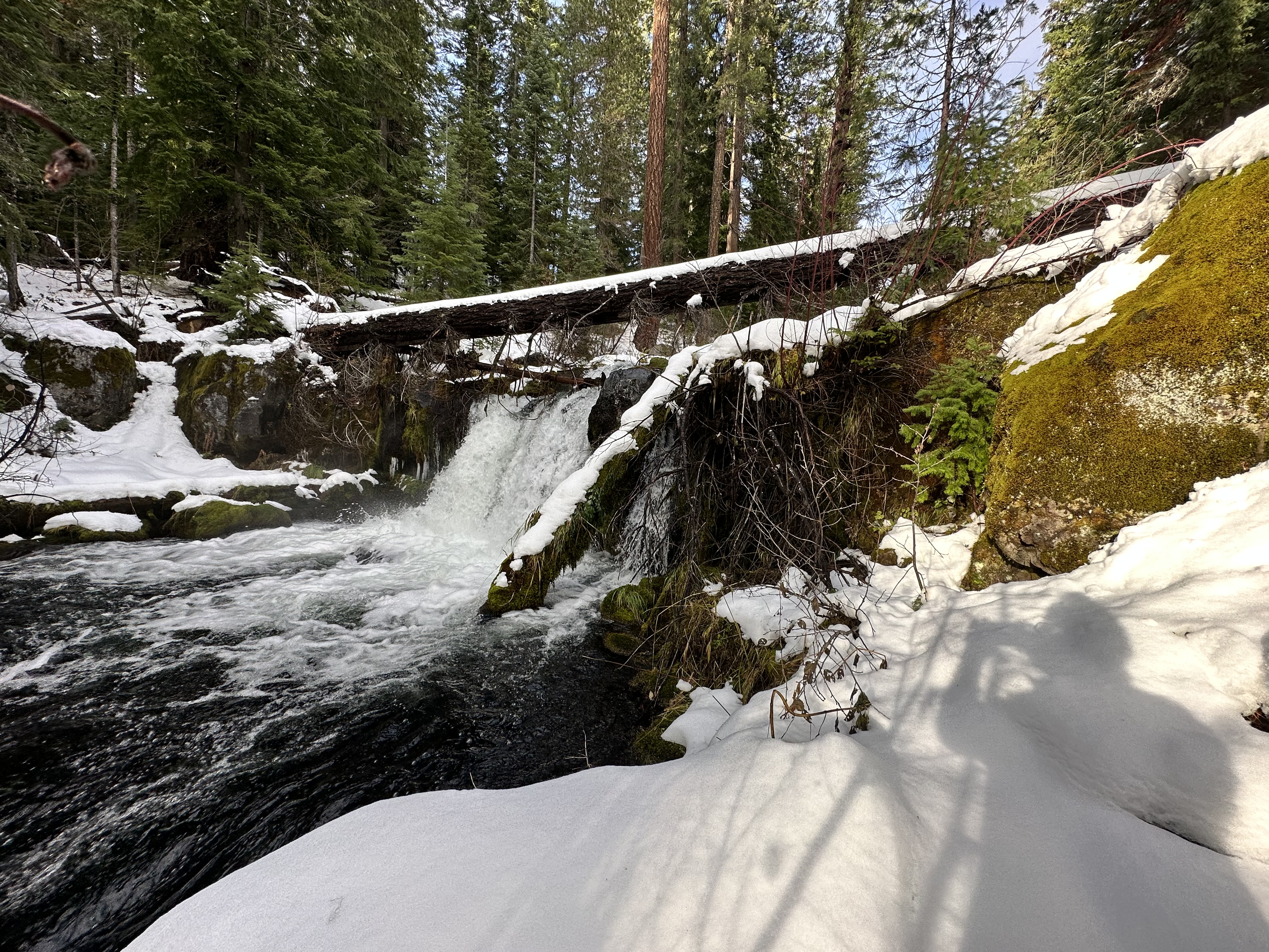 Muir Creek Falls