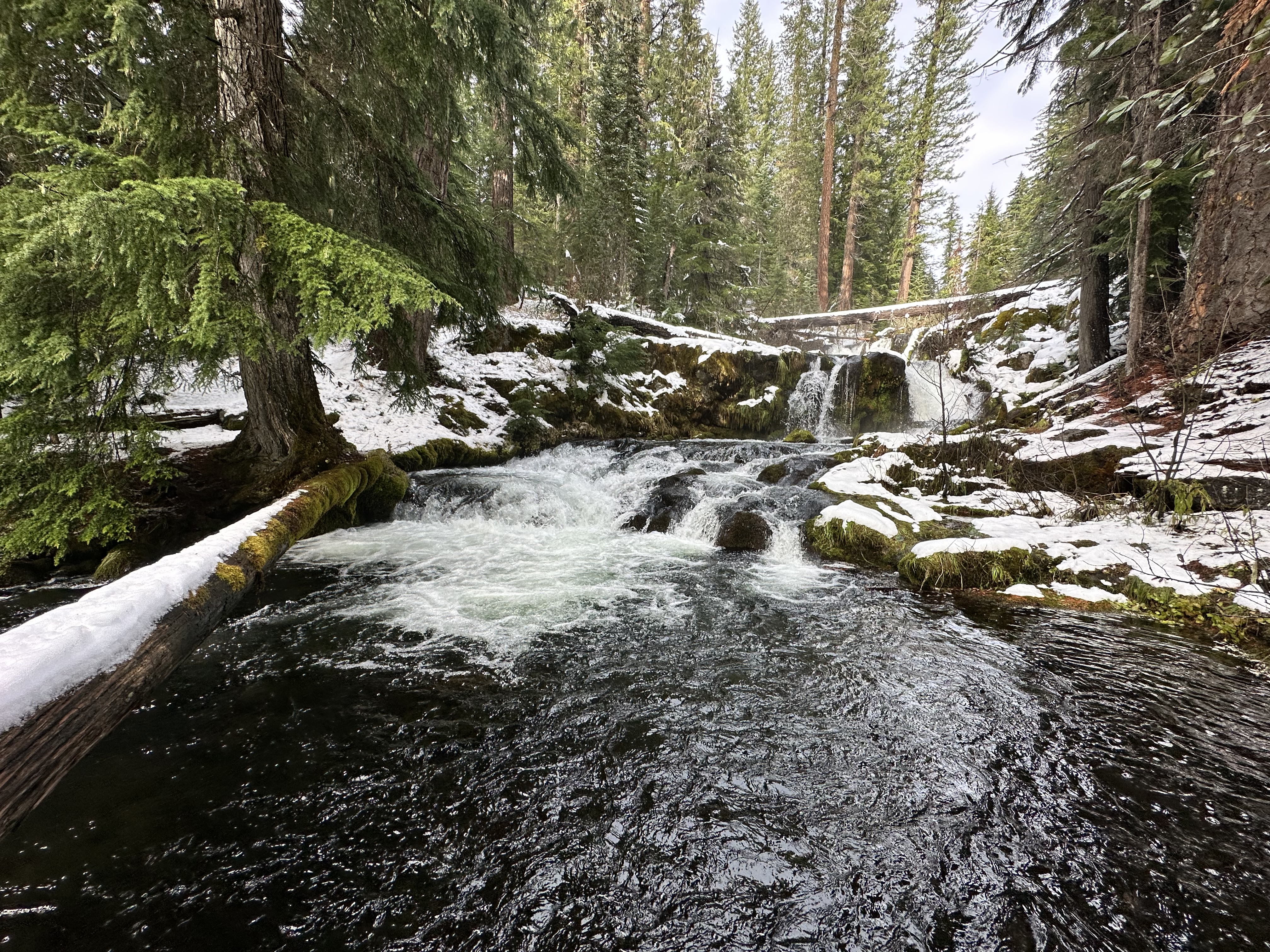 Muir Creek Falls