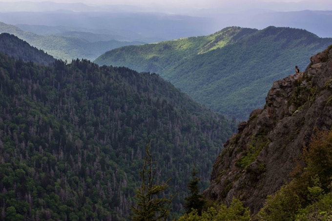 A valley covered in lush vegetation