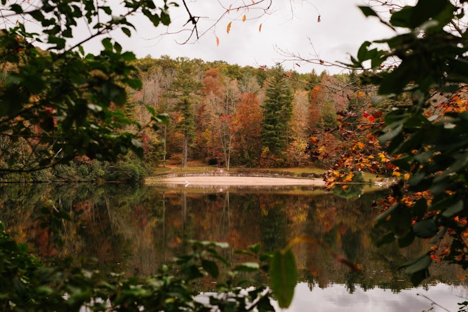 A glimpse of the lake through the leaves in fall