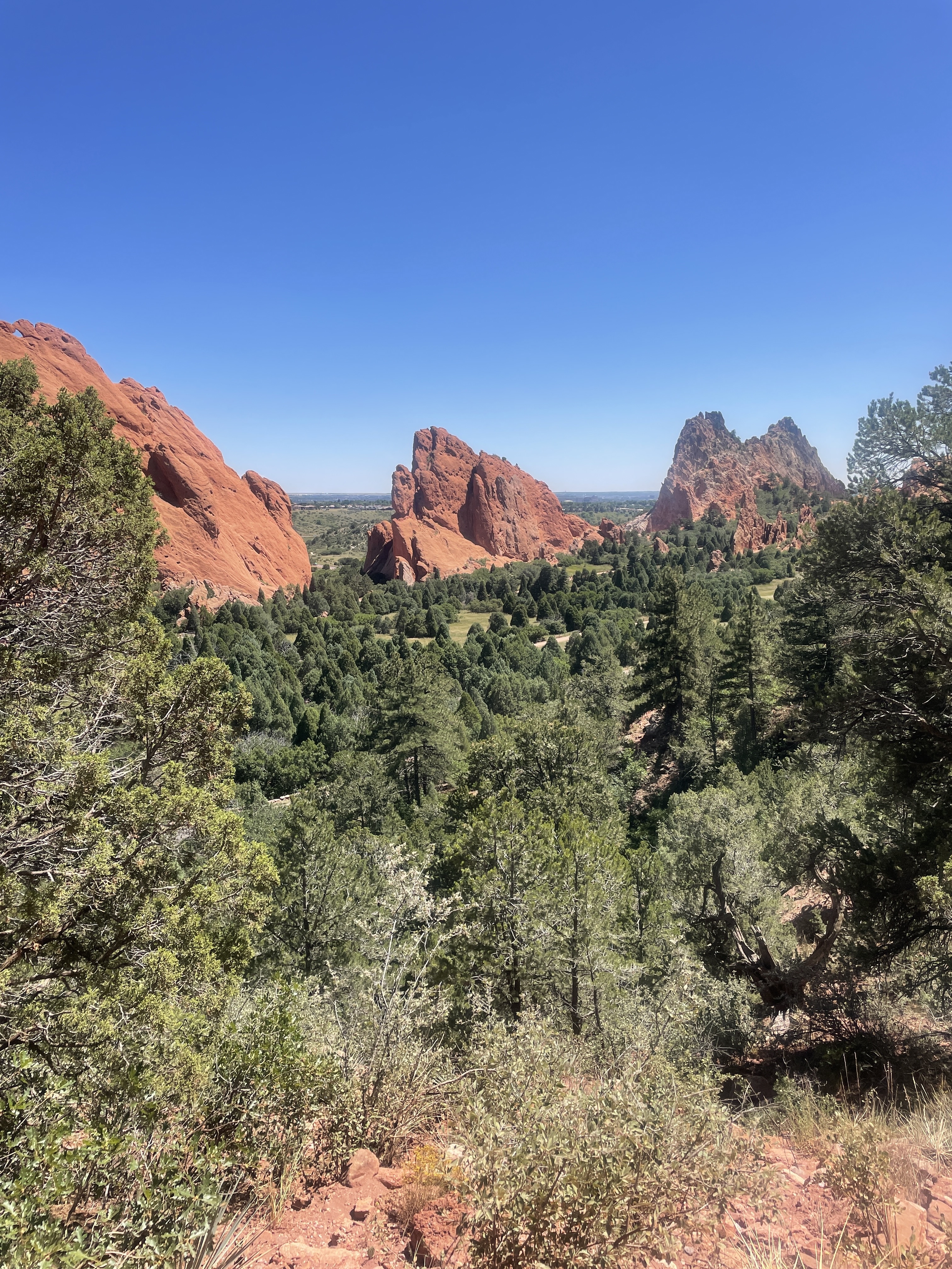 Garden of the Gods Observation Trail