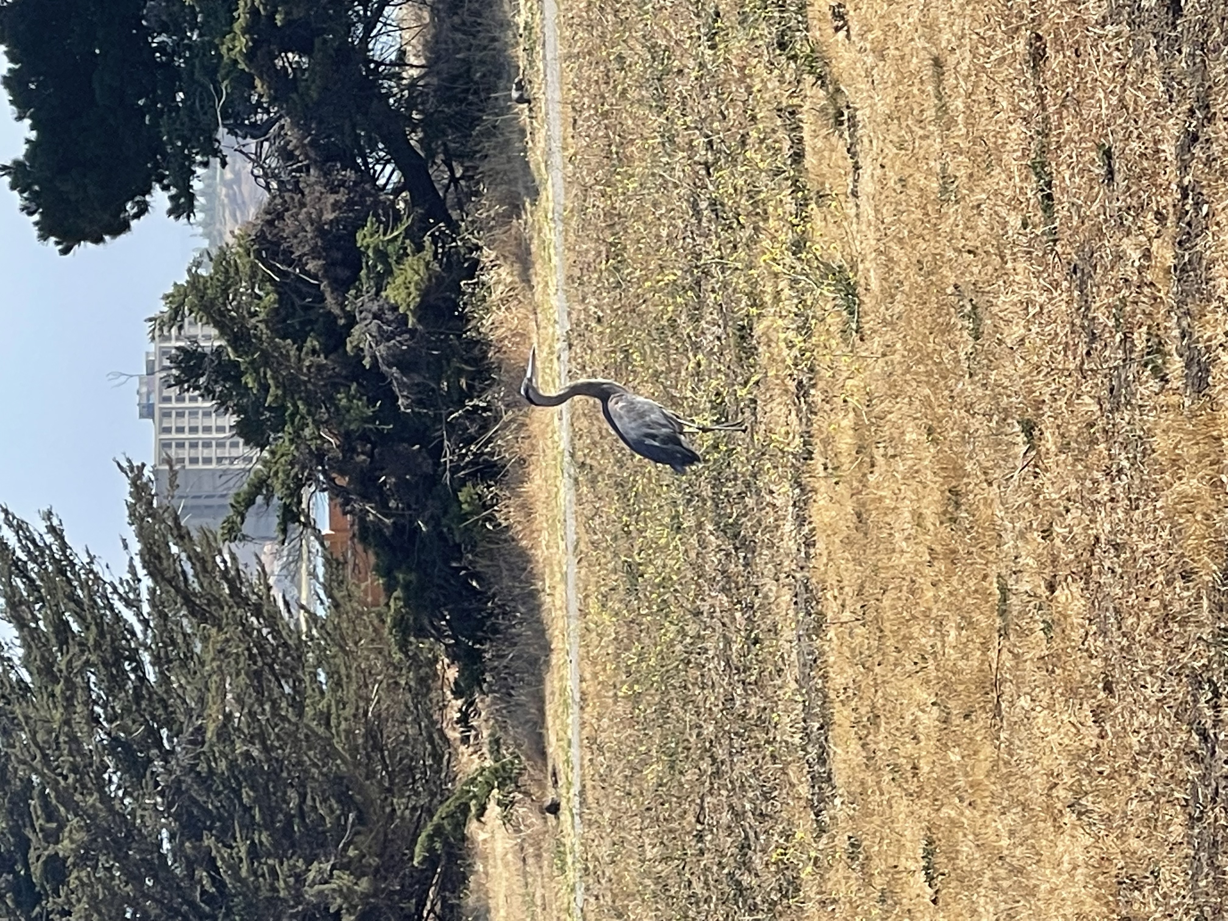 San Francisco Crosstown Trail
