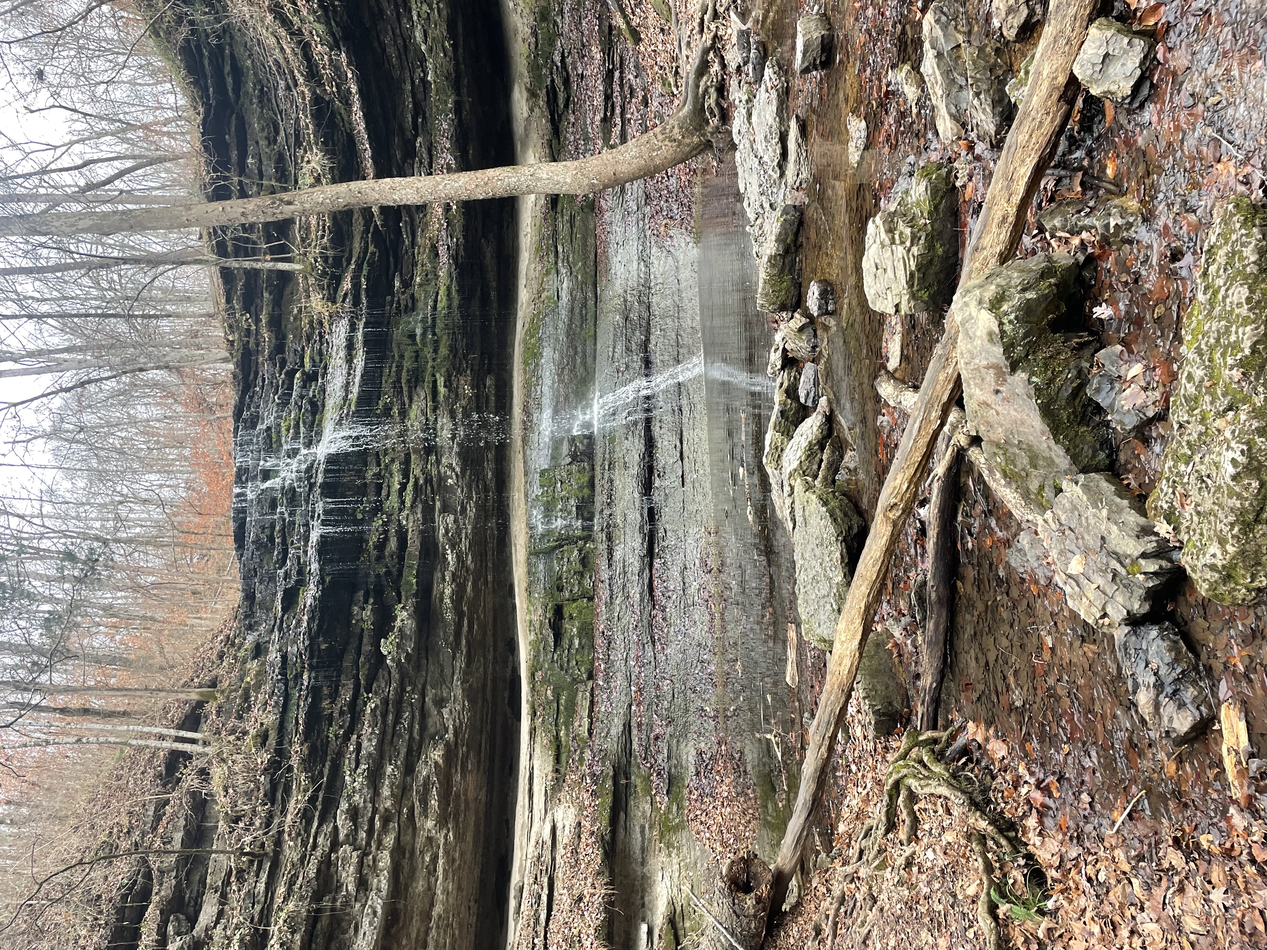 Stillhouse Hollow Falls