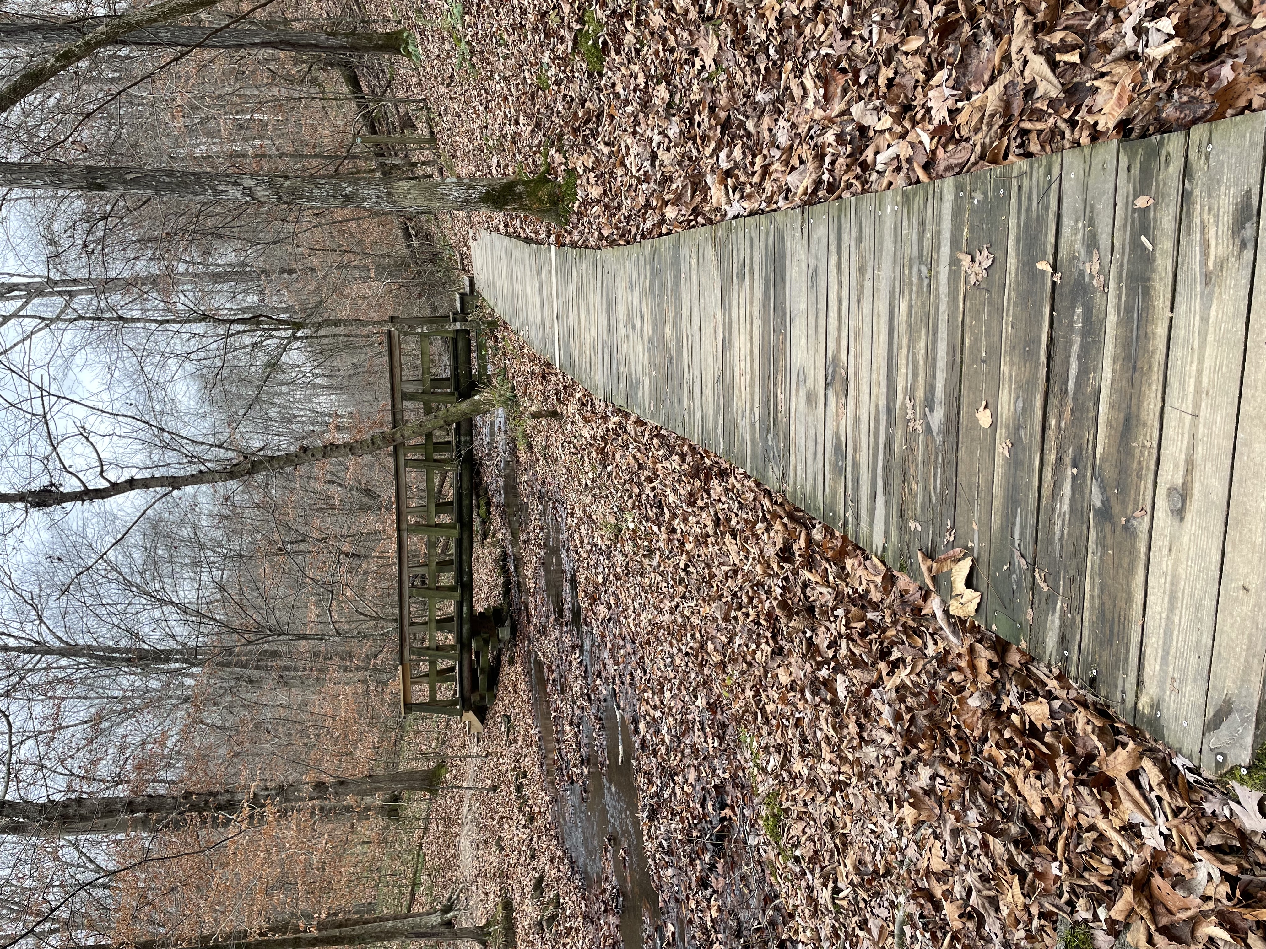 Stillhouse Hollow Falls