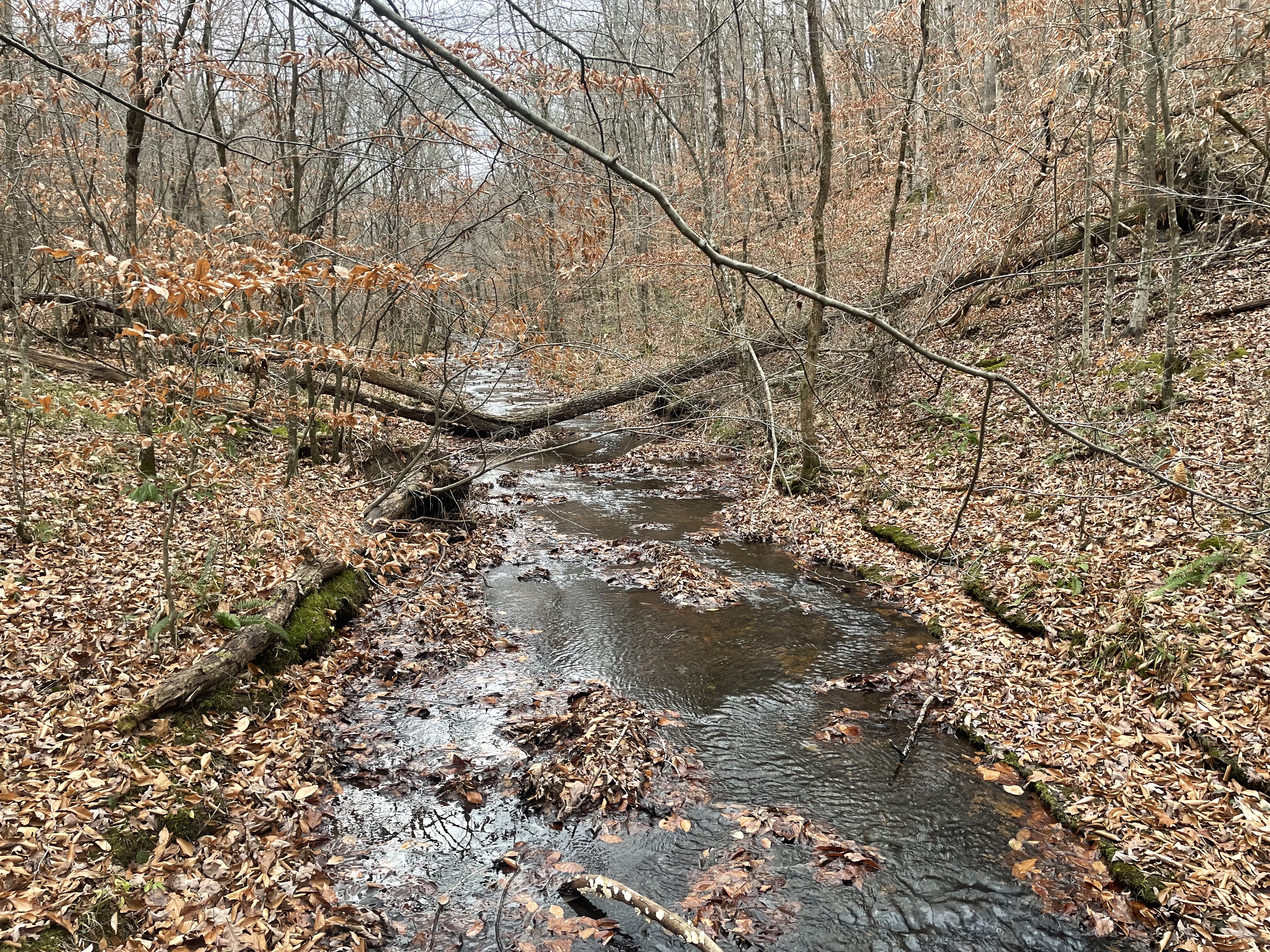 Stillhouse Hollow Falls