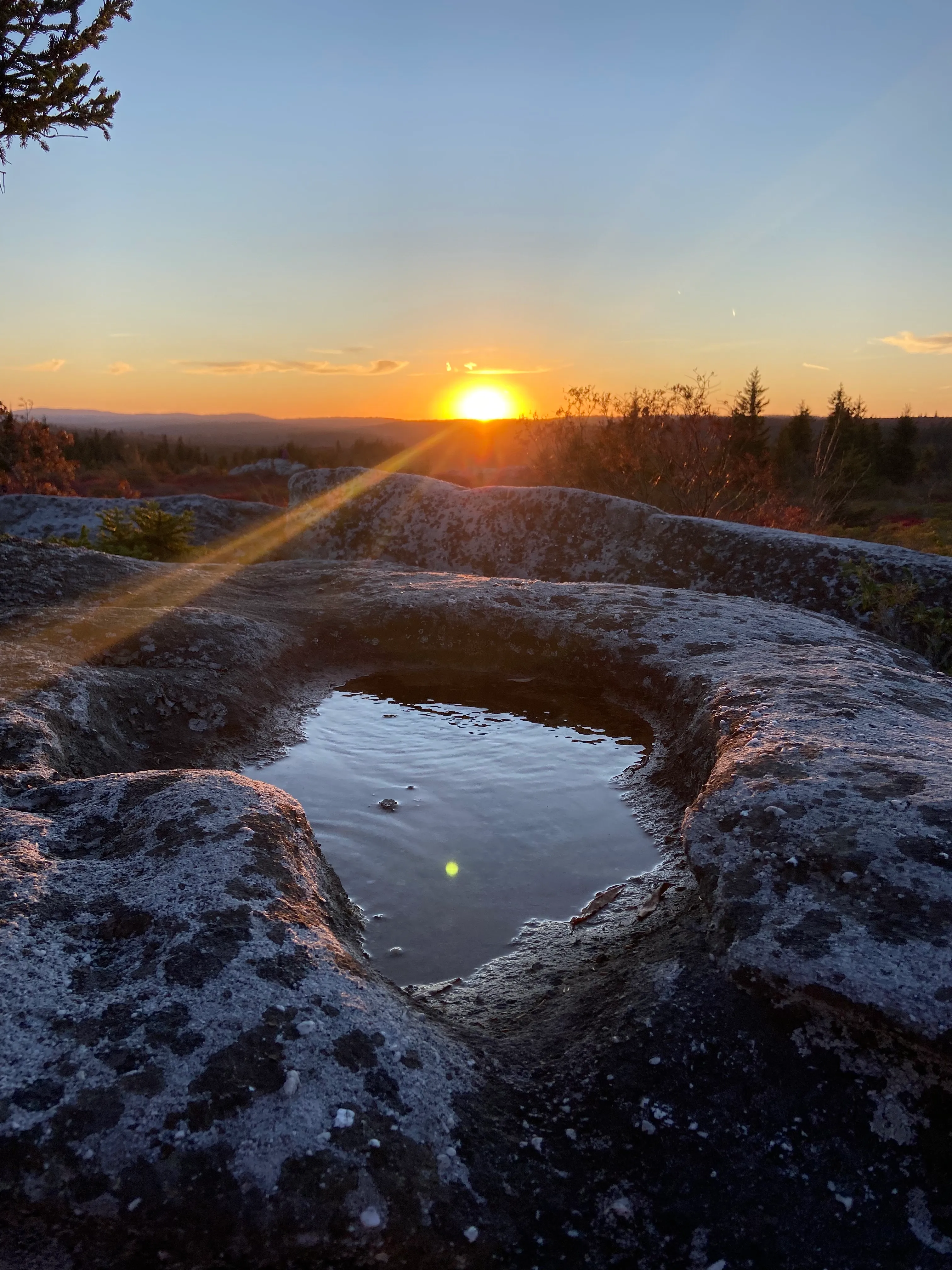 Photograph Bear Rocks Preserve