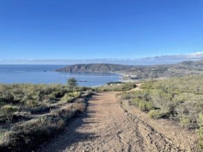 Ontario Ridge to Shell Beach Bluff Trail Loop