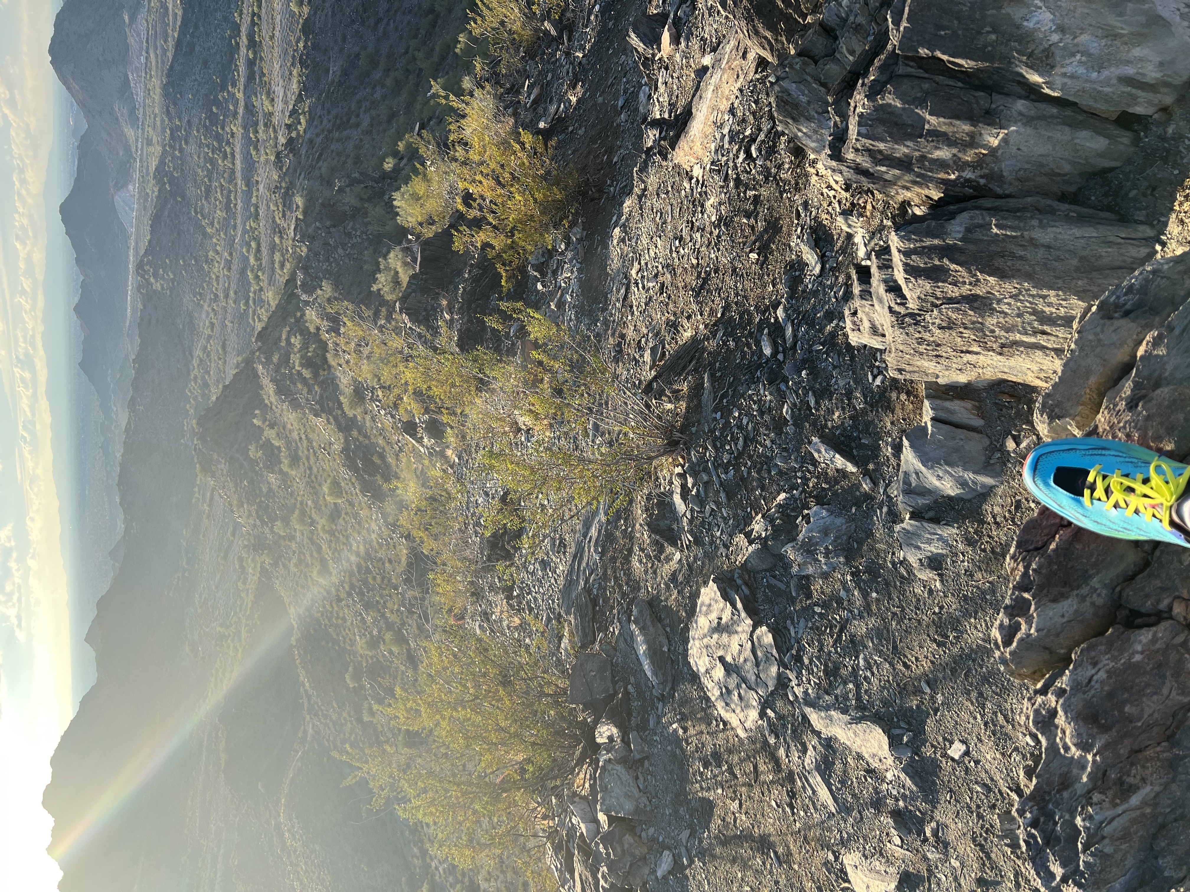 Mojave Trail #200