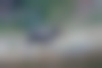 A moose runs through a meadow