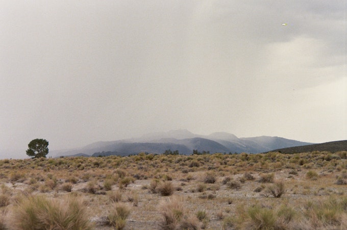 Volcanin craters are obscured by clouds and rain. A tree sits in the distance to the left of the craters. Sagebrush and rabbitbrush plants scatter across the desert floor.