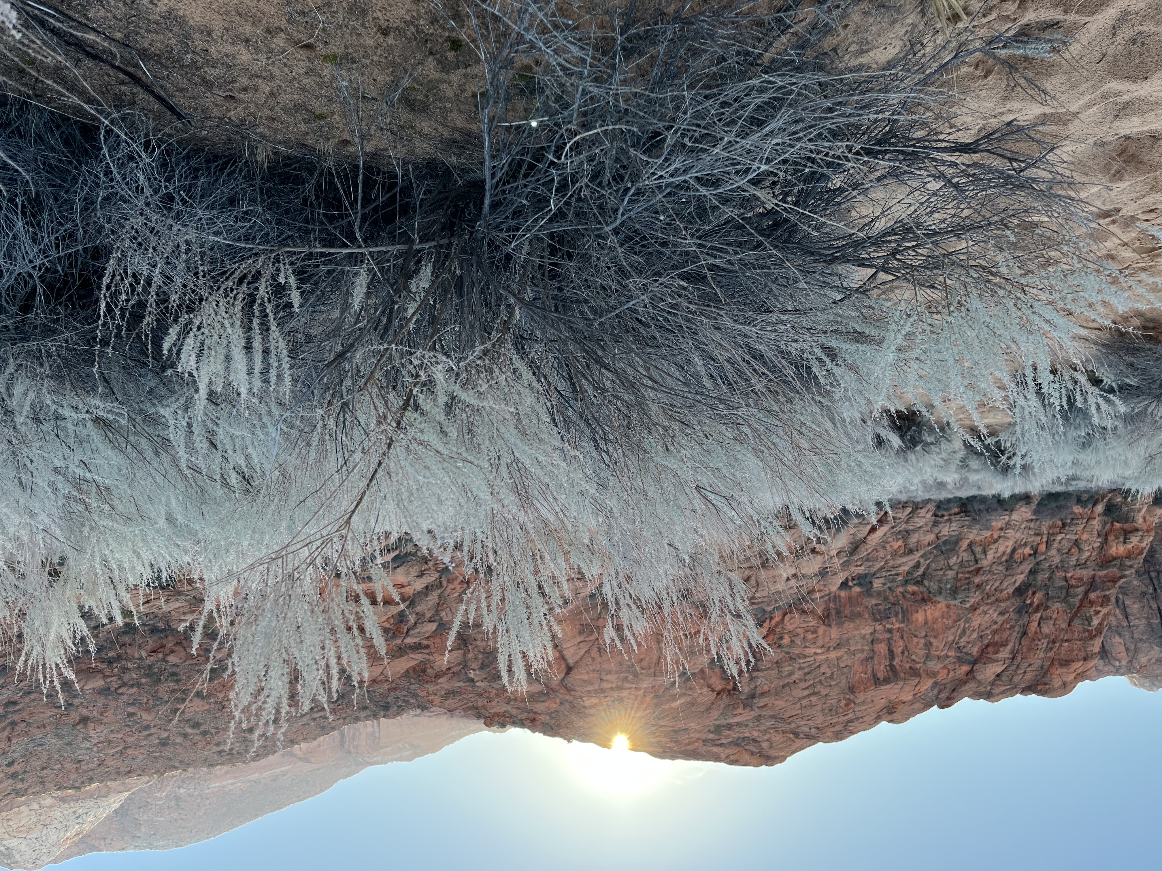 Explore the Petrified Sand Dunes