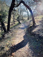 Creekside Trail to Canyon Trail to Ridge Trail Loop