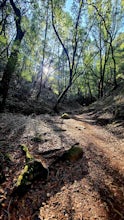 Schwindt, Indian Valley, and Waterfall Trail Loop