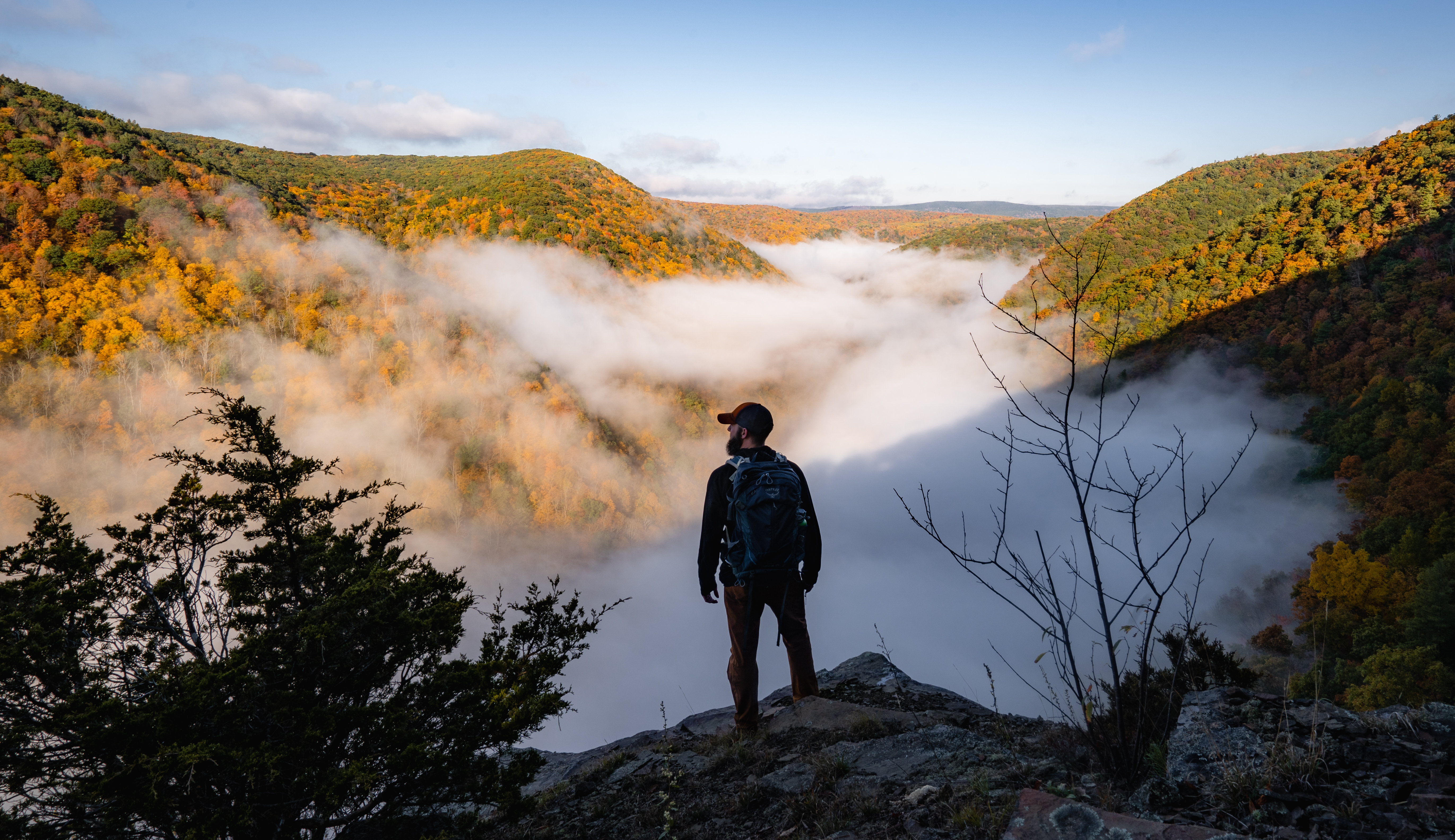 Hike to Pine Island Vista