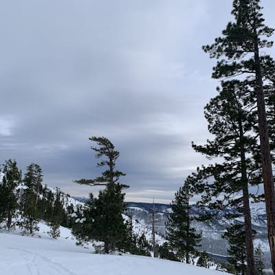 Cross-Country Ski to Drifter Hut
