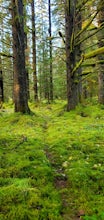 Bartlett Cove Forest Loop Trail