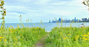 Chicago: Where urban nature runs wild