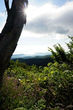 Top 5 beginner hikes with gorgeous views around Shenandoah National Park