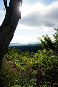 Top 5 beginner hikes with gorgeous views around Shenandoah National Park