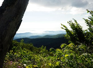 Top 5 beginner hikes with gorgeous views around Shenandoah National Park