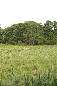 Wildlife Pond Loop