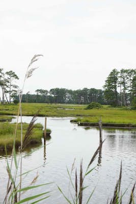 Wildlife Pond Loop