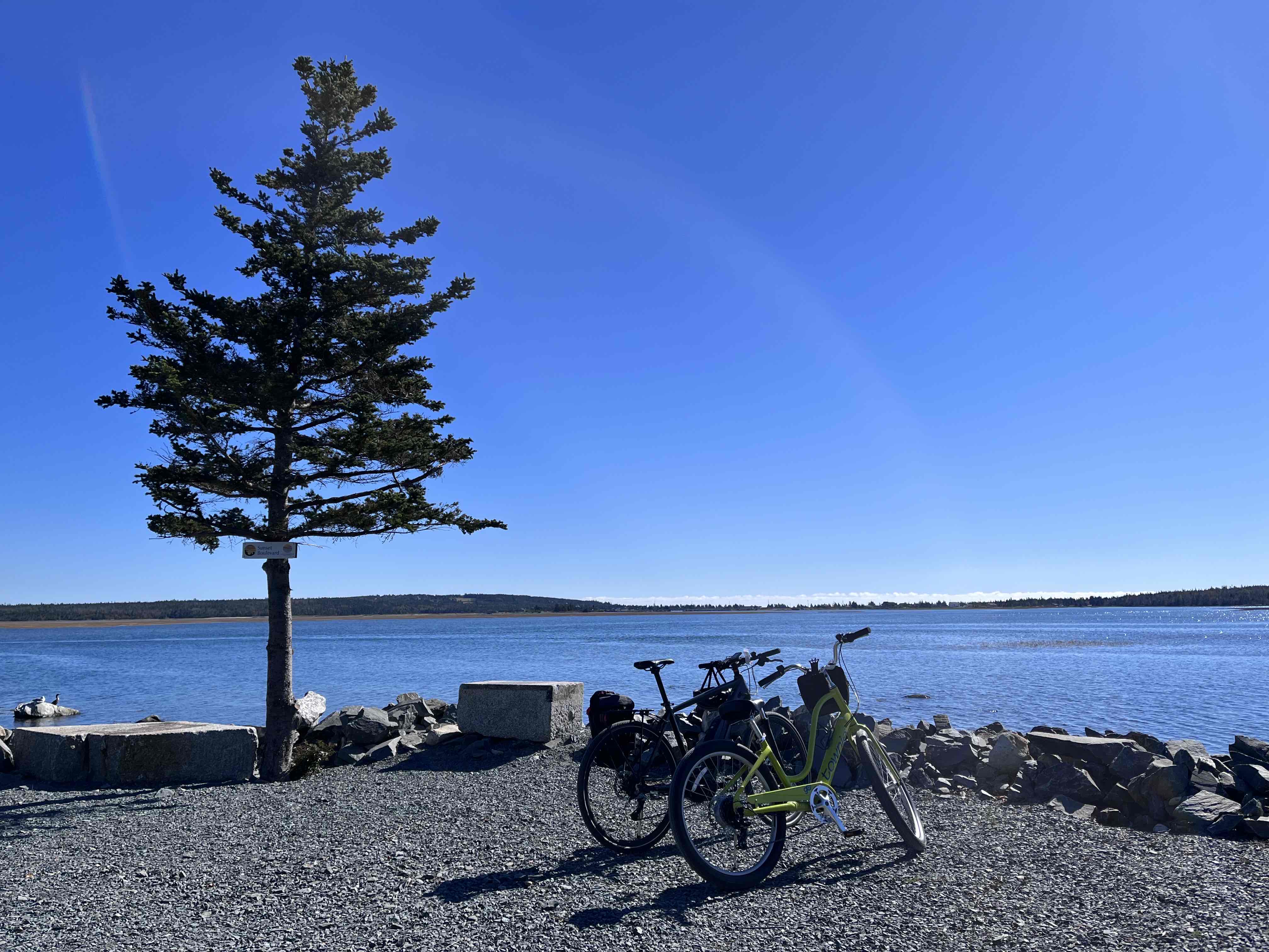 Salt Marsh Trail to Lawrencetown Beach
