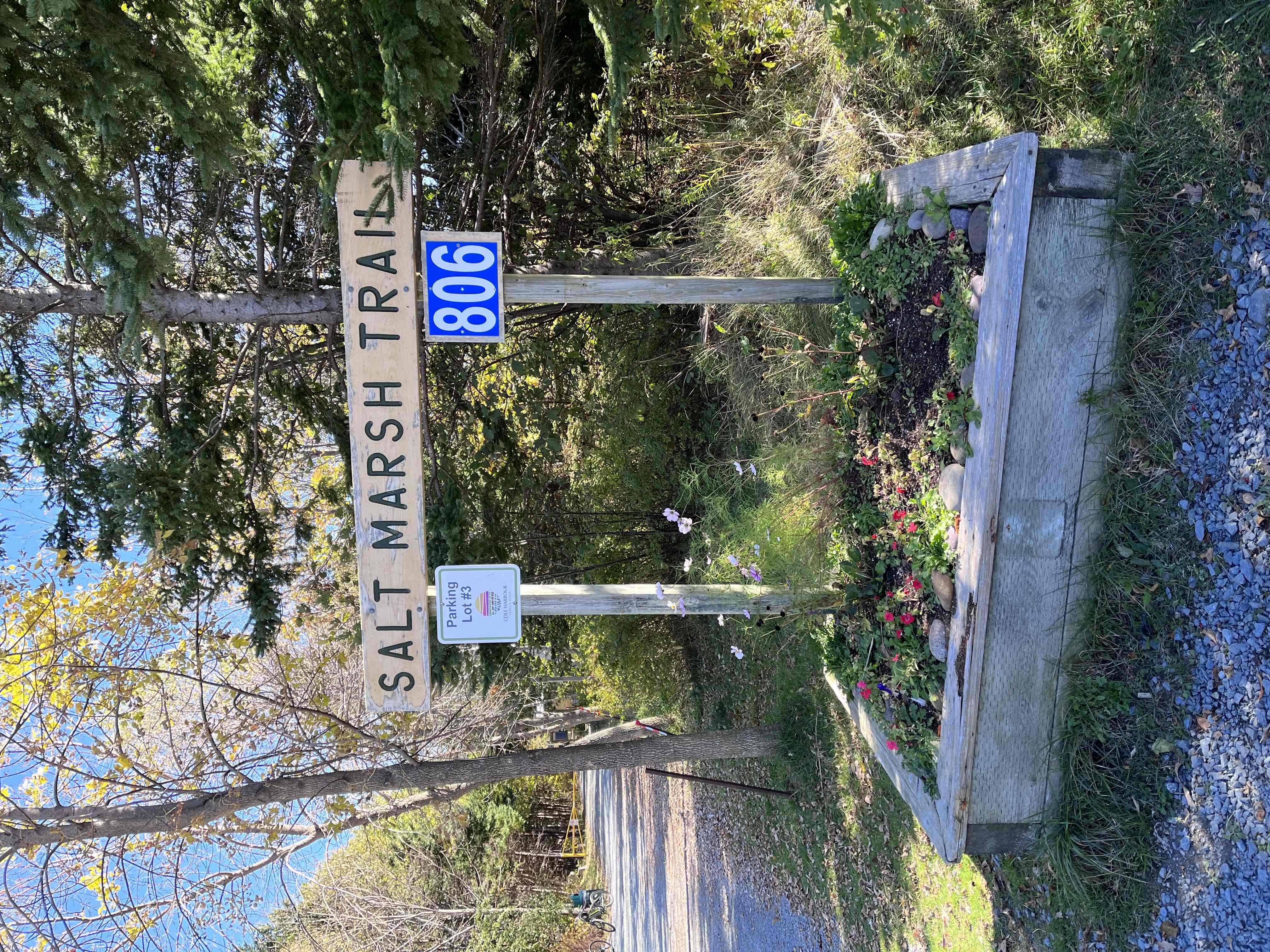 Salt Marsh Trail to Lawrencetown Beach