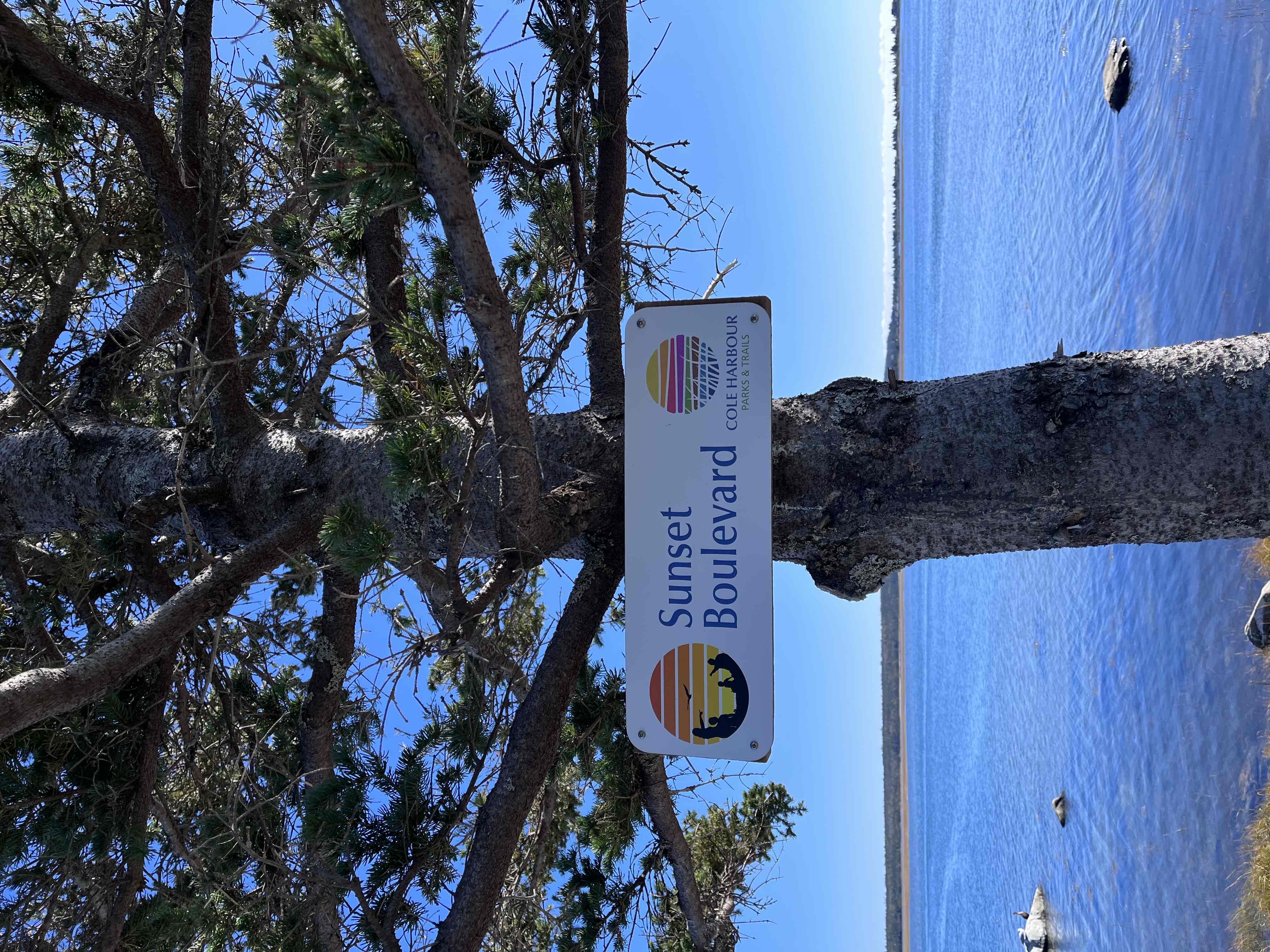 Salt Marsh Trail to Lawrencetown Beach