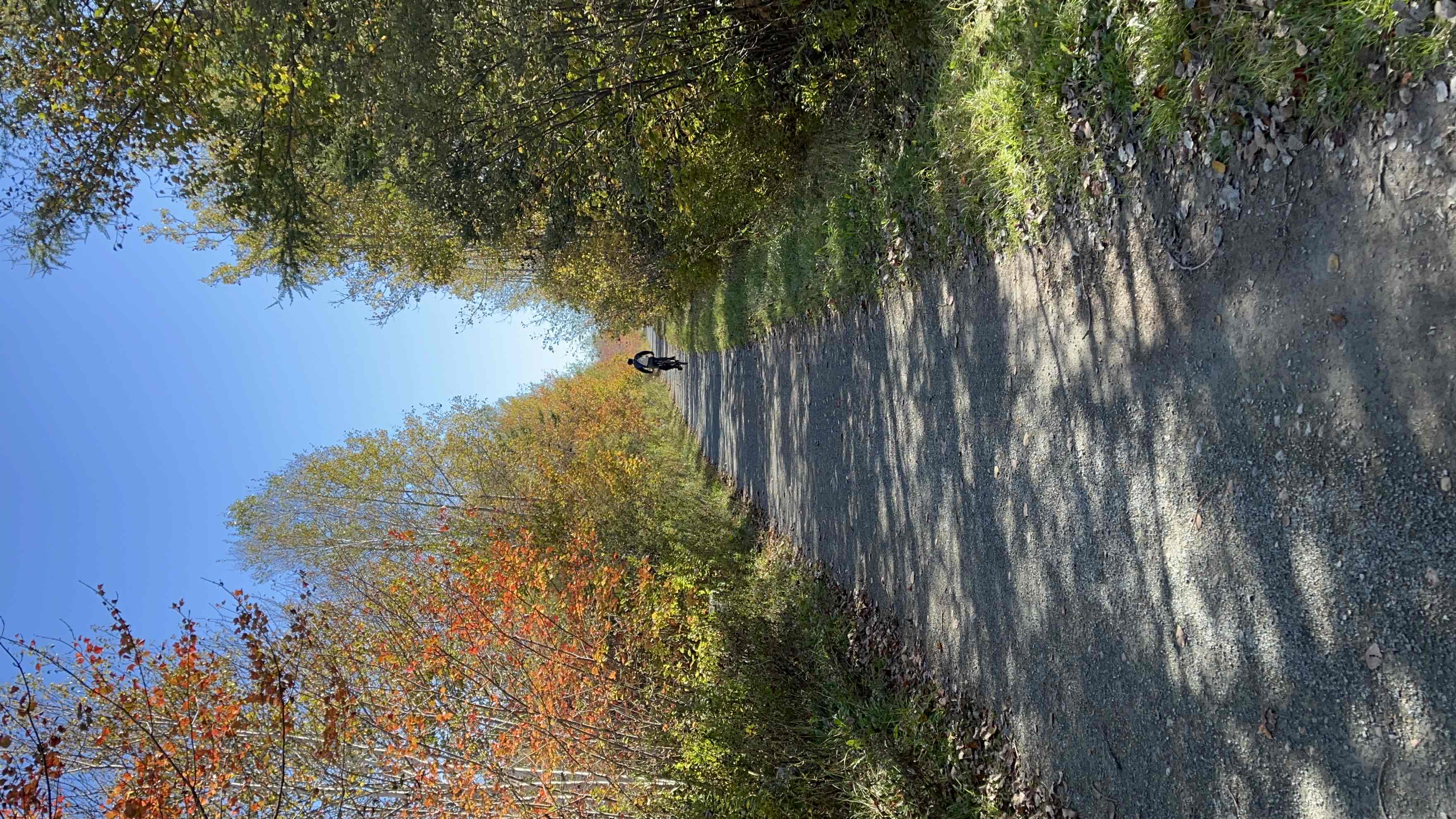 Salt Marsh Trail to Lawrencetown Beach