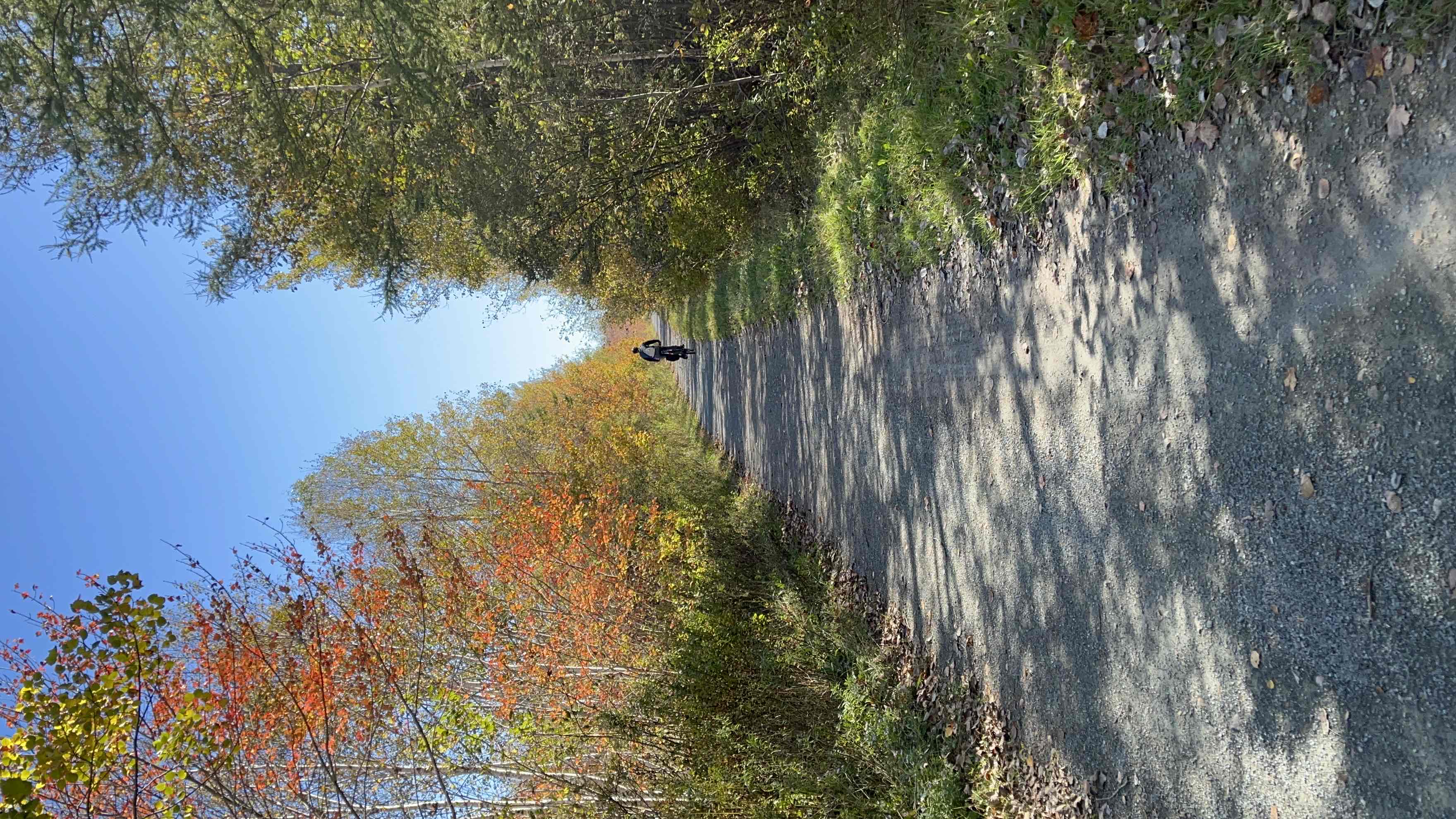 Salt Marsh Trail to Lawrencetown Beach